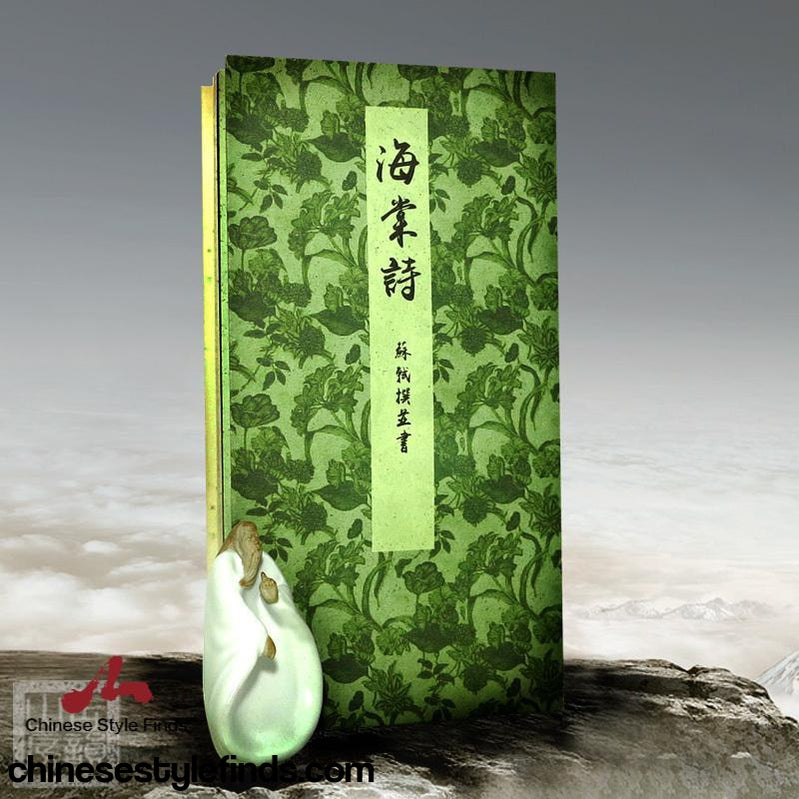 Chinese patterns livre et cd-rom décorations chinoises asiatique - Autres  Livres, K7 et DVD (9728297)
