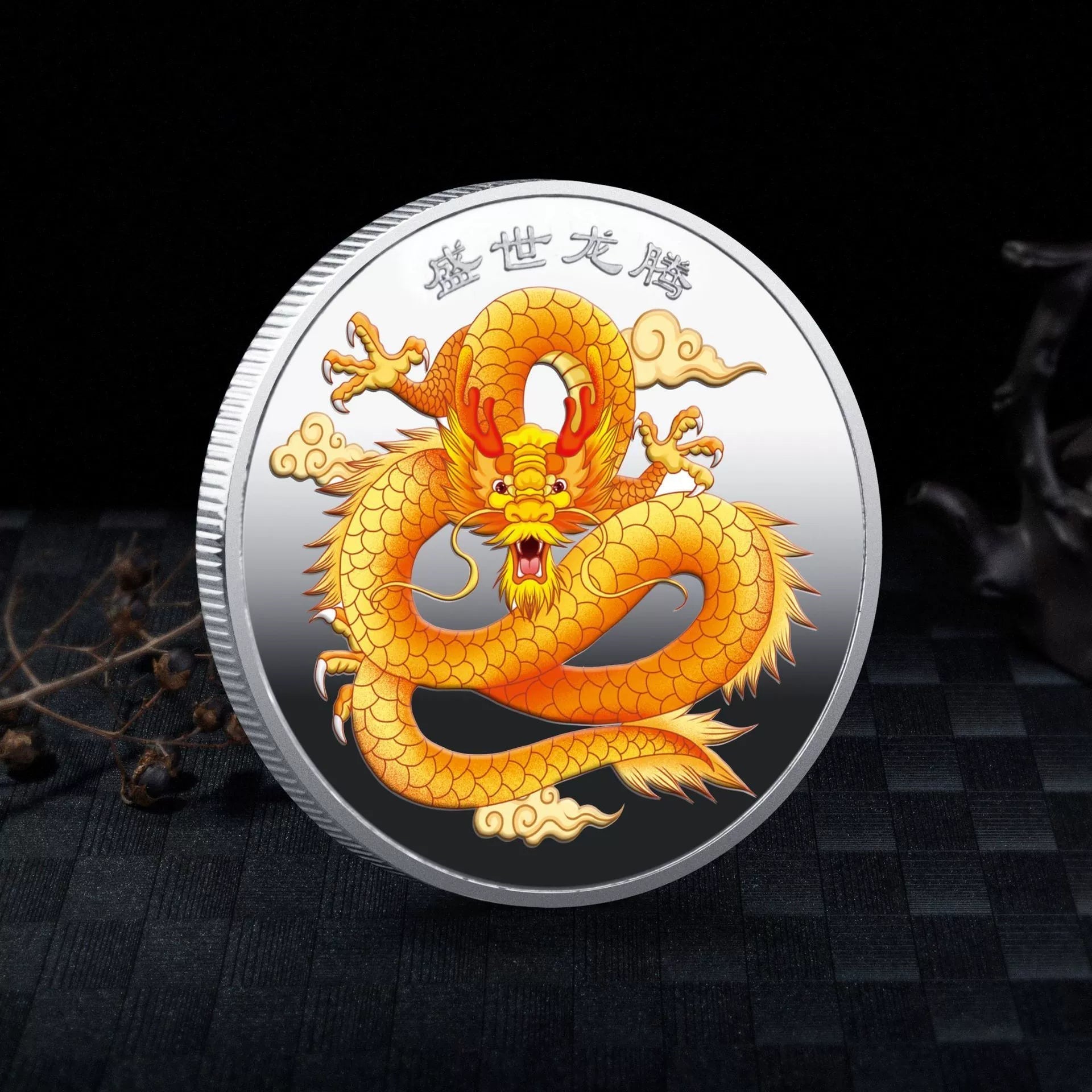 China Souvenirs Coin Trip Commemorative Coins Unique Travel Gift Ideas Dragon Age Long Teng Sheng Shi 龙腾盛世 2099-Chinese Style Finds™