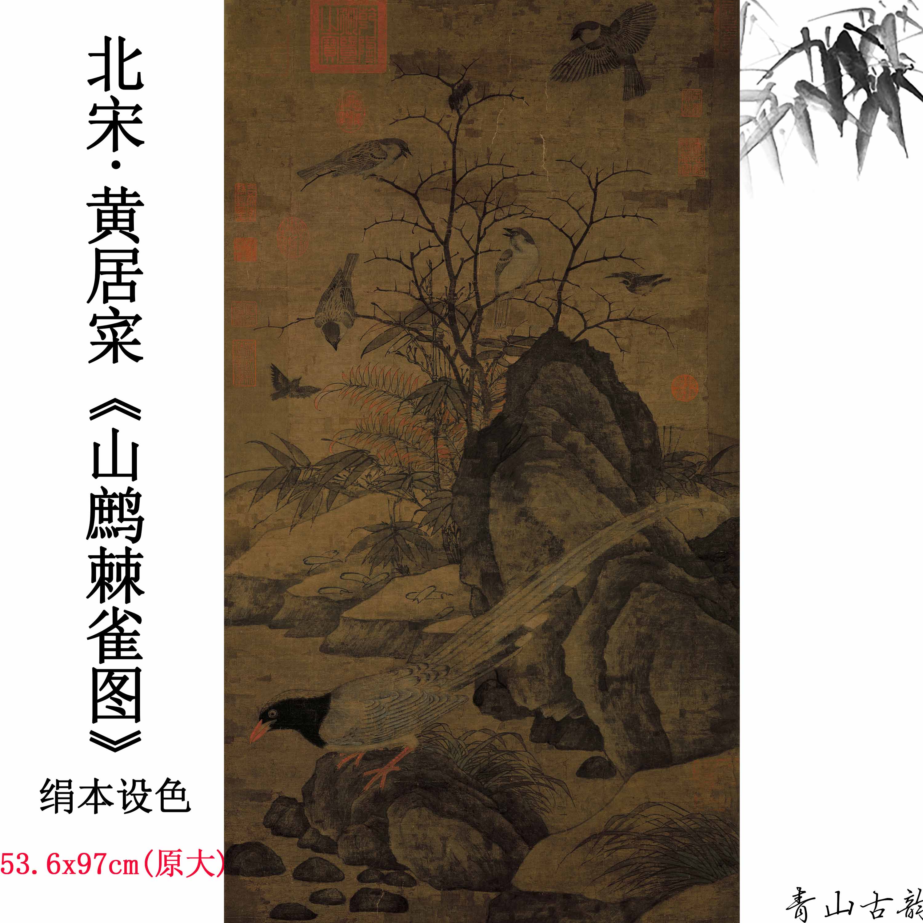 Chinese Antique Art Painting 北宋 黄居寀 山鹧棘雀图 Song Huang Ju Cai Shan Zhe Ji Que Tu China Ancient Wall Picture Ideas 1420-Chinese Style Finds™