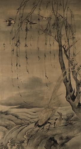 Chinese Antique Art Painting 明 汪肇 柳禽白鹇图 Ming Wang Zhao Liu Qin Bai Xian China Ancient Wall Picture Ideas 4595-Chinese Style Finds™