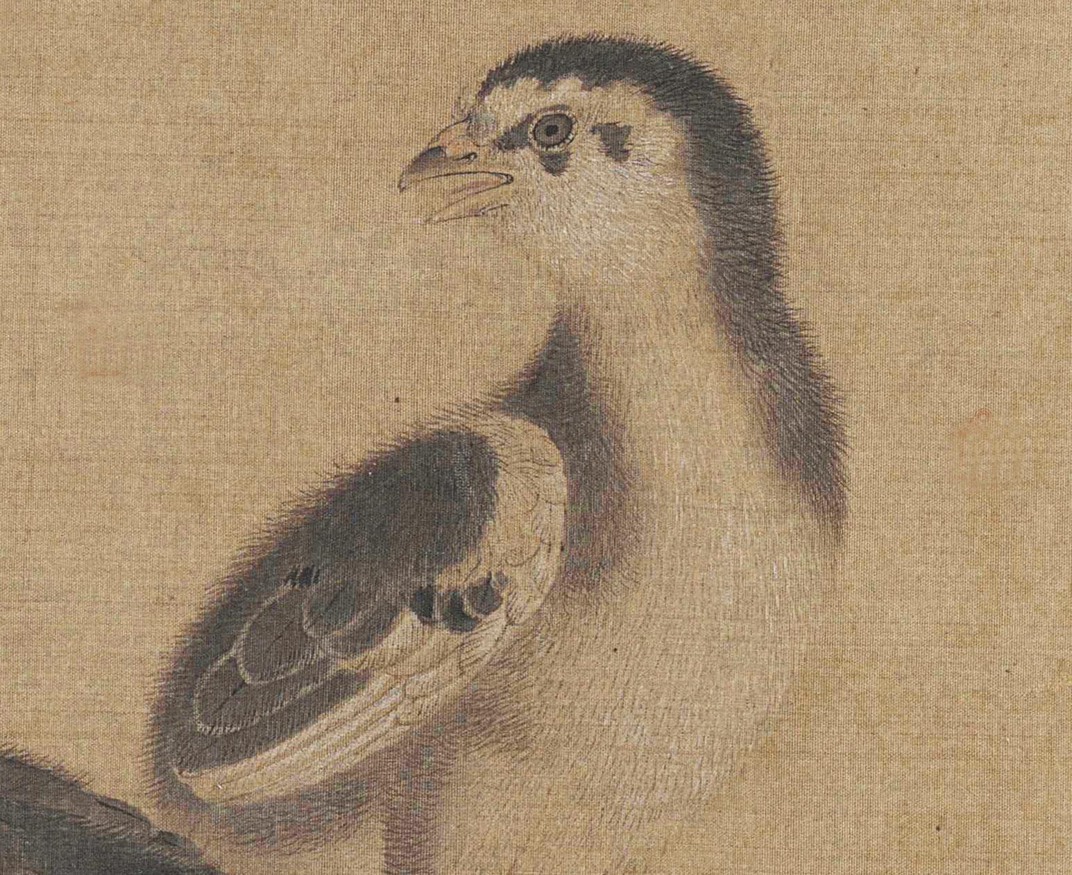 Chinese Antique Art Painting 南宋 李迪 鸡雏待饲图 Song Li Di Child Chicken Xiao Ji Dai Si Tu China Ancient Wall Picture Ideas 1536-Chinese Style Finds™