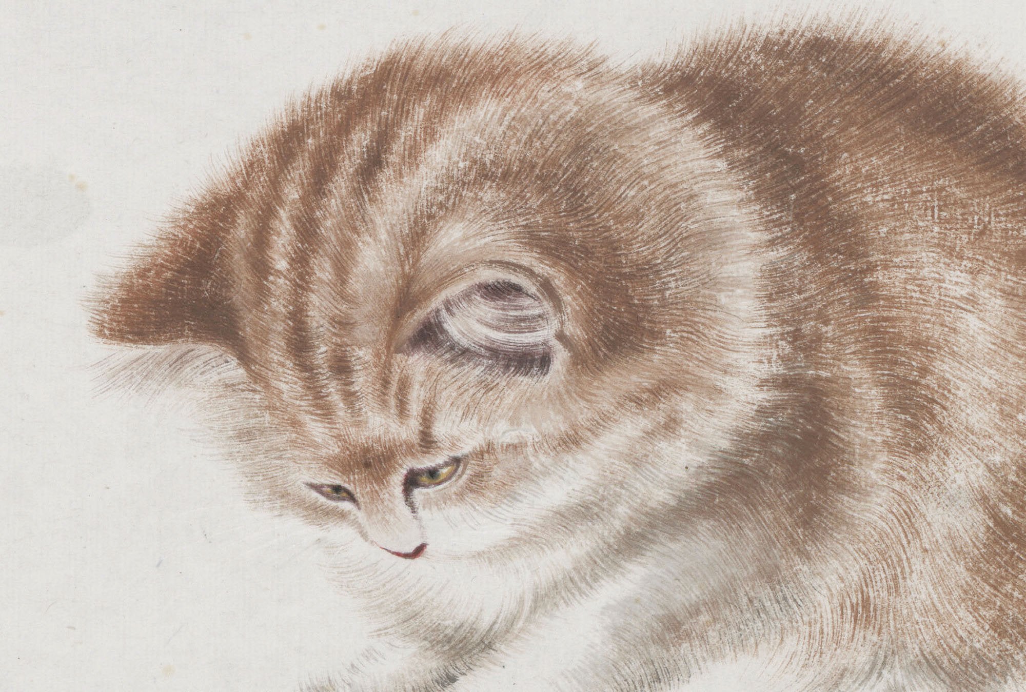 Chinese Antique Art Painting 齐白石 猫趣图 Qi Baishi Cute Cat China Ancient Wall Picture Ideas 3067-Chinese Style Finds™