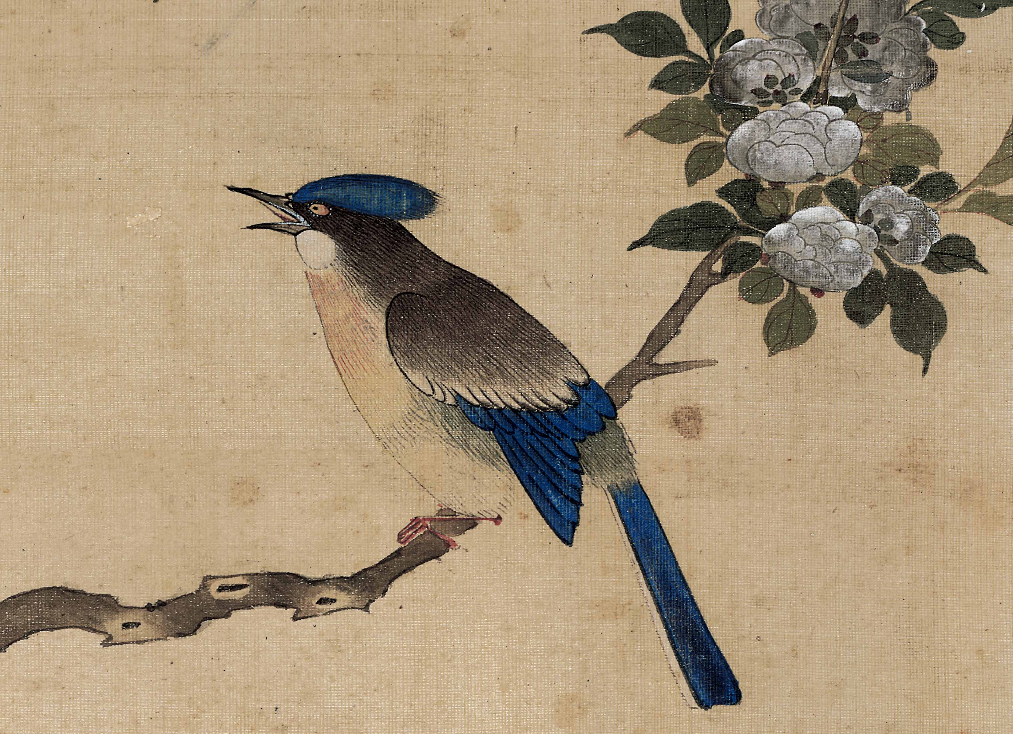 Chinese Antique Art Painting 清 陈枚 四季花鸟图八条屏 Qing Chen Mei 4 Seasons Birds Flowers China Ancient Wall Picture Ideas 4455-Chinese Style Finds™