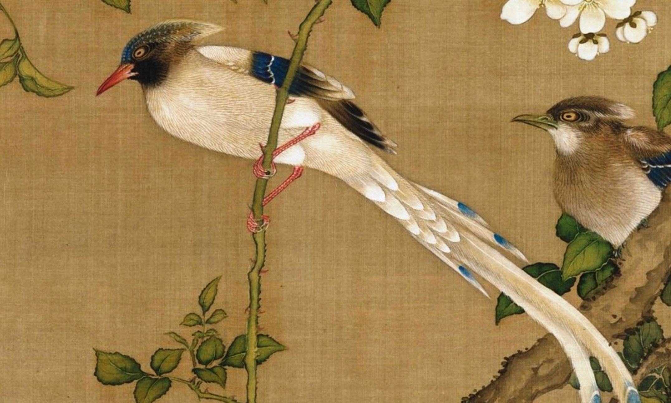 Chinese Antique Art Painting 清 沈铨 花鸟图 Qing Shen Quan Hua Niao Flower Bird China Ancient Wall Picture Ideas 2773-Chinese Style Finds™