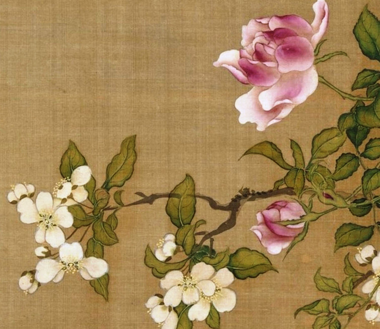 Chinese Antique Art Painting 清 沈铨 花鸟图 Qing Shen Quan Hua Niao Flower Bird China Ancient Wall Picture Ideas 2773-Chinese Style Finds™