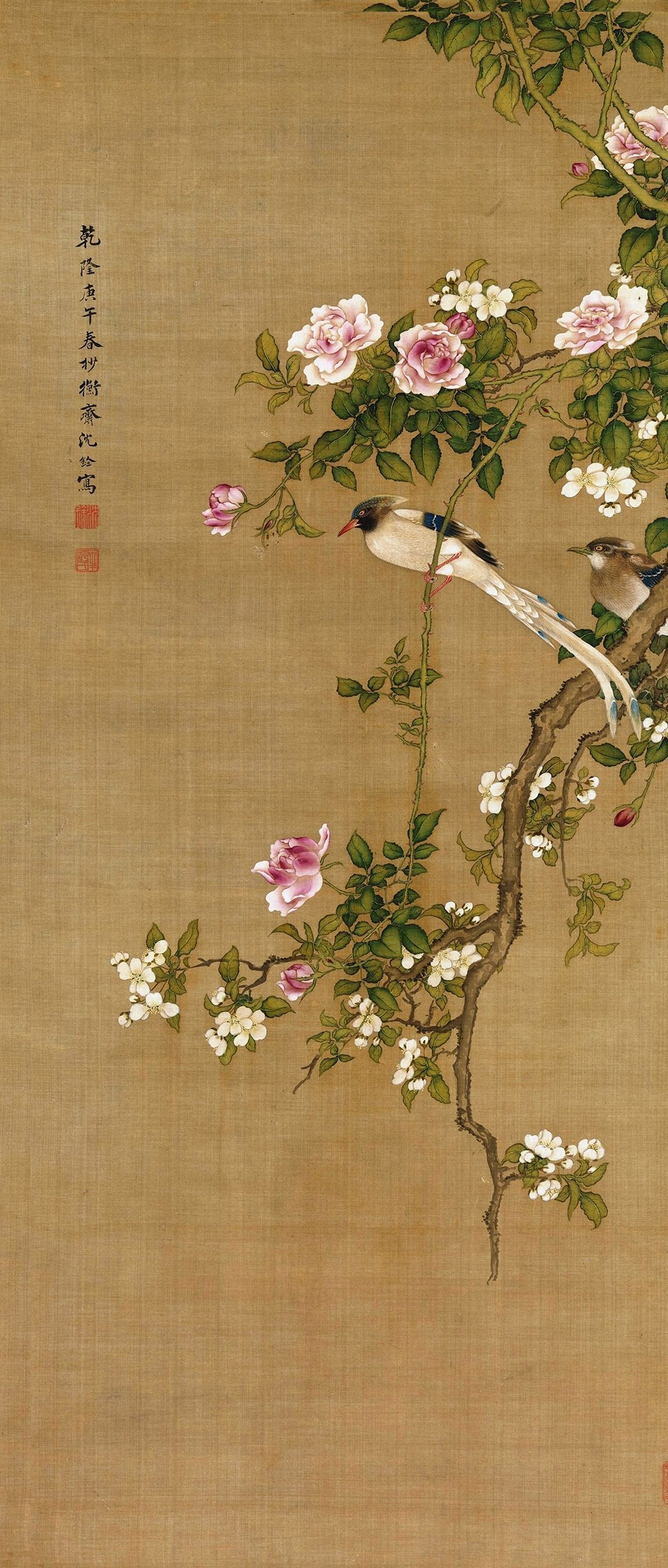 Chinese Antique Art Painting 清 沈铨 花鸟图 Qing Shen Quan Hua Niao Flower Bird China Ancient Wall Picture Ideas 2773-Chinese Style Finds™