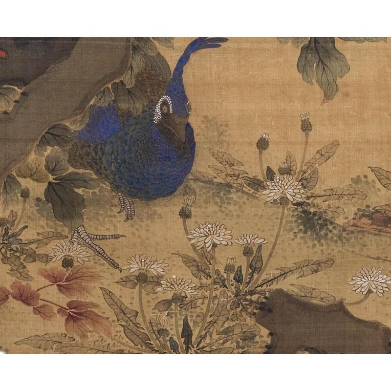 Chinese Antique Art Painting 清 沈铨 孔雀玉兰牡丹图 Qing Shen Quan Kong Que Yu Lan Mu Dan China Ancient Wall Picture Ideas 2745-Chinese Style Finds™