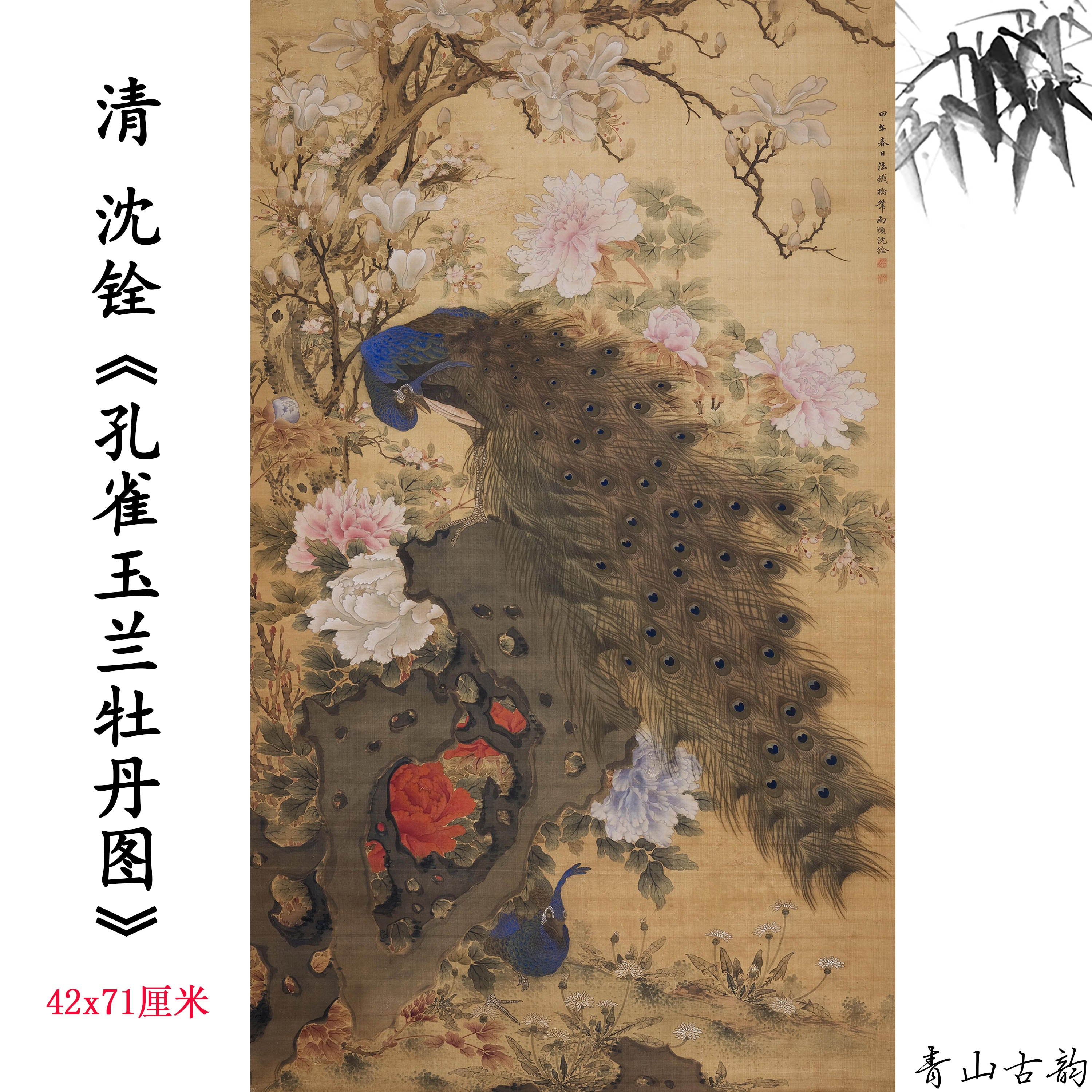 Chinese Antique Art Painting 清 沈铨 孔雀玉兰牡丹图 Qing Shen Quan Kong Que Yu Lan Mu Dan China Ancient Wall Picture Ideas 2745-Chinese Style Finds™