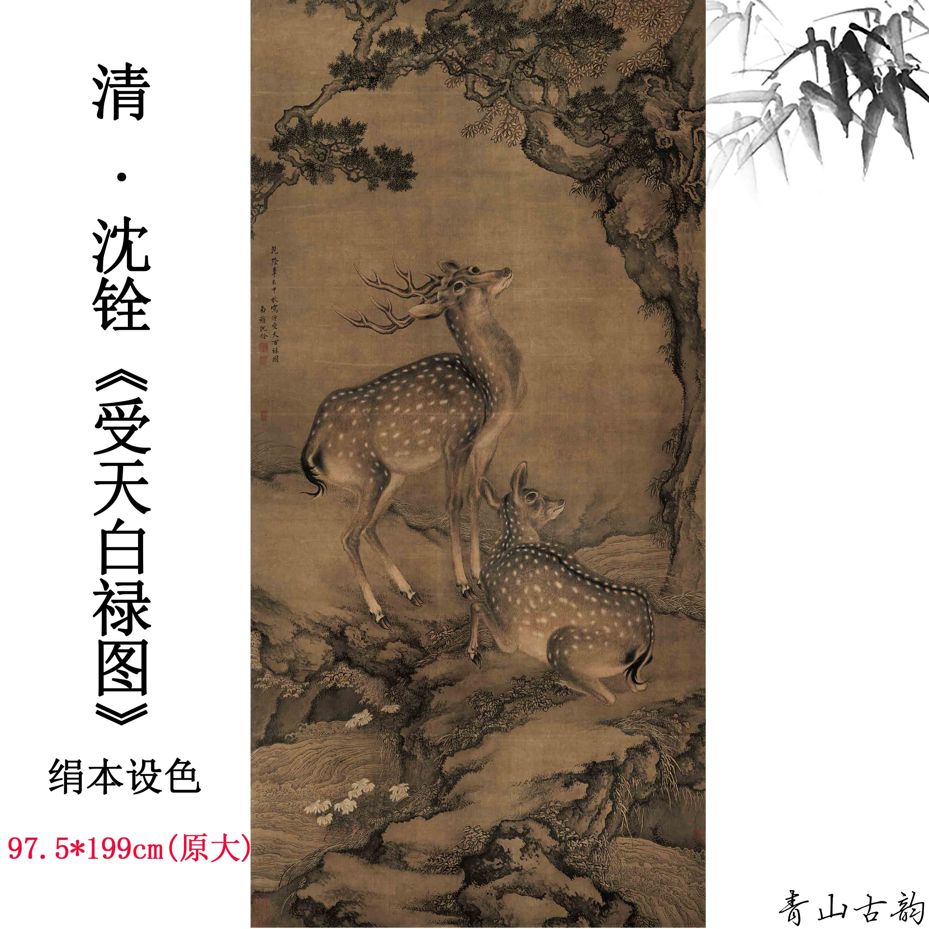 Chinese Antique Art Painting 清 沈铨 受天白禄图 Qing Shen Quan Shou Tian Bai Lu China Ancient Wall Picture Ideas 2535-Chinese Style Finds™