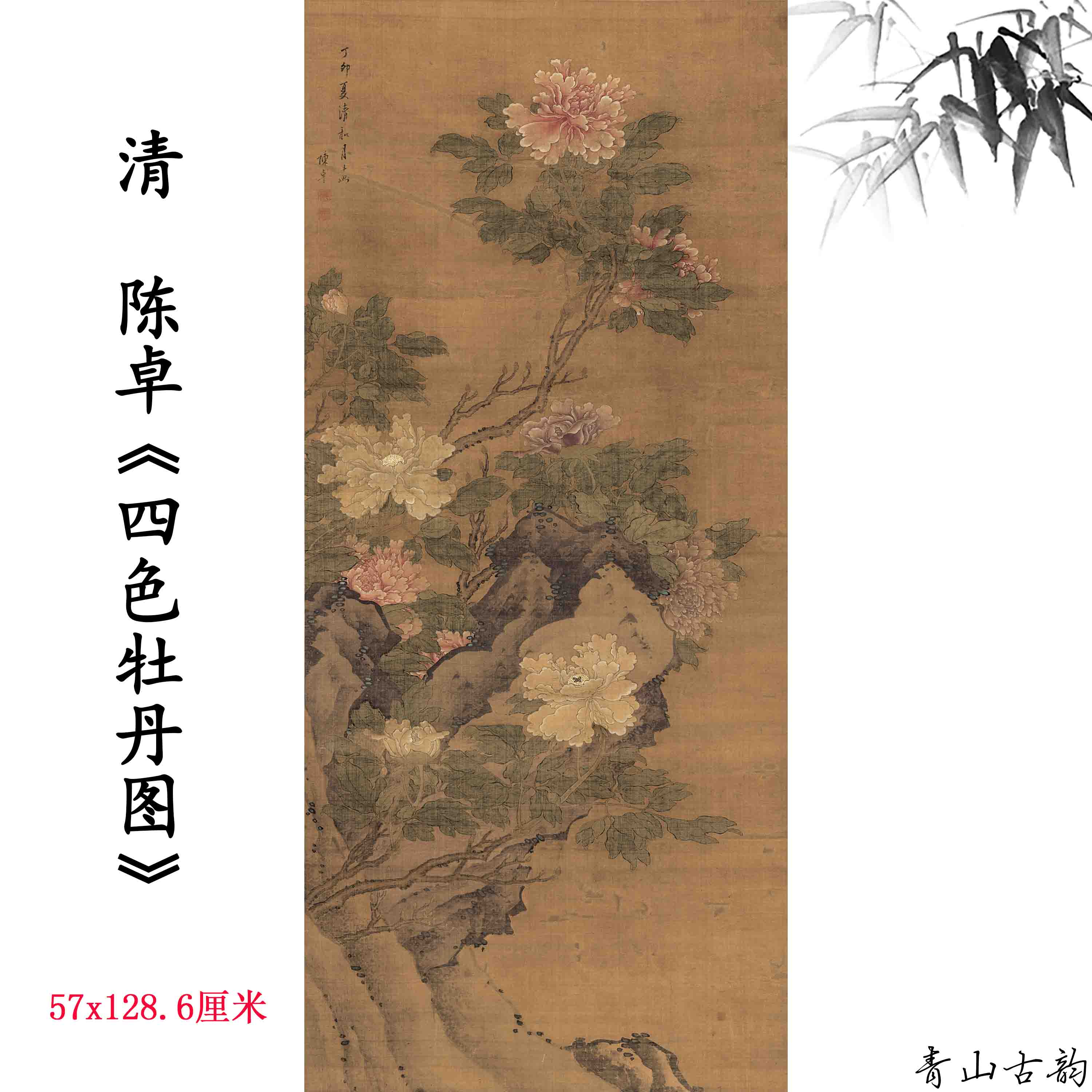 Chinese Antique Art Painting 清 陈卓 四色牡丹图 Qing Chen Zhou Peony China Ancient Wall Picture Ideas 4371-Chinese Style Finds™