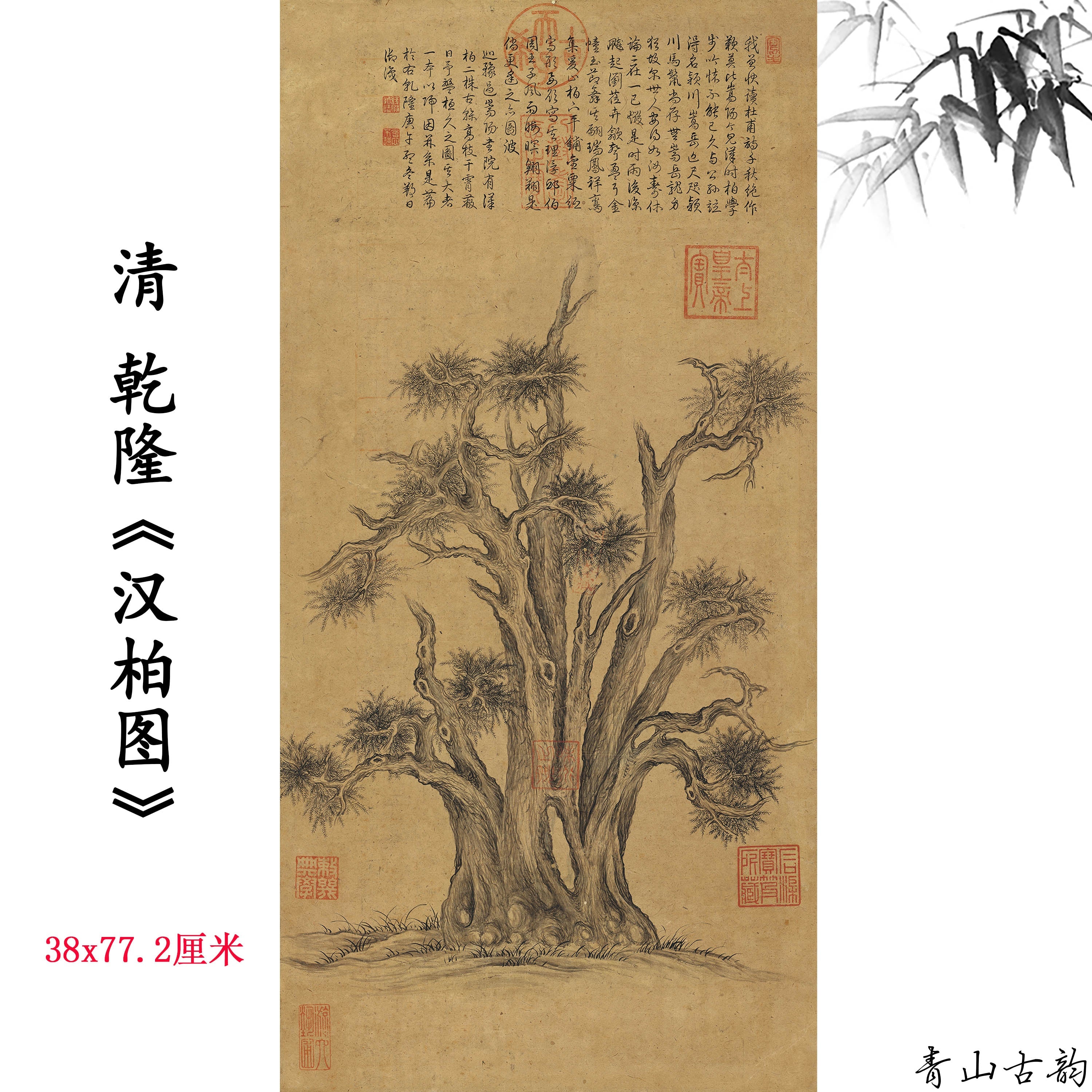 Chinese Antique Art Painting 清 乾隆皇帝御笔 汉柏图 Qing Qianlong King Han Bai Cypress China Ancient Wall Picture Ideas 4485-Chinese Style Finds™