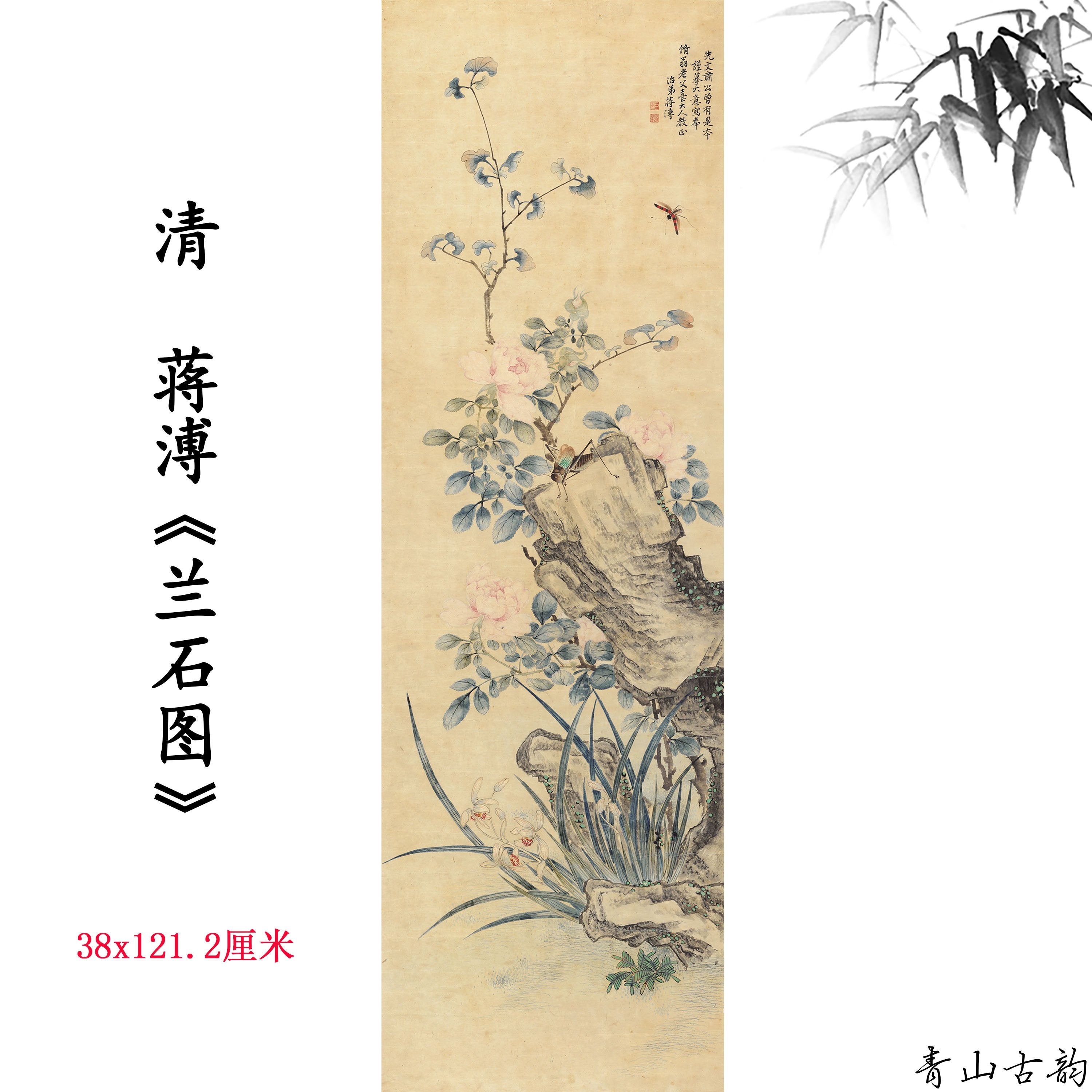 Chinese Antique Art Painting 清 蒋溥 兰石图 Qing Jiang Pu Orchid Stone China Ancient Wall Picture Ideas 4363-Chinese Style Finds™