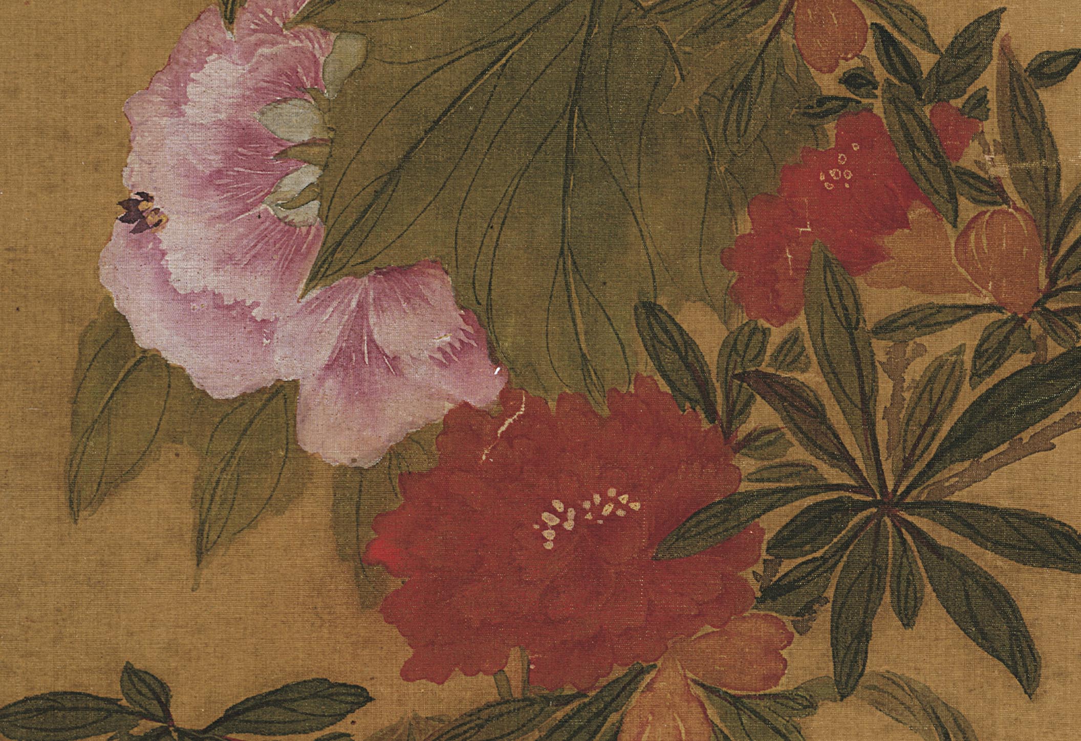 Chinese Antique Art Painting 清 蒋廷锡 蜀葵宣花图 Qing Jiang Tingxi Flower China Ancient Wall Picture Ideas 4273-Chinese Style Finds™