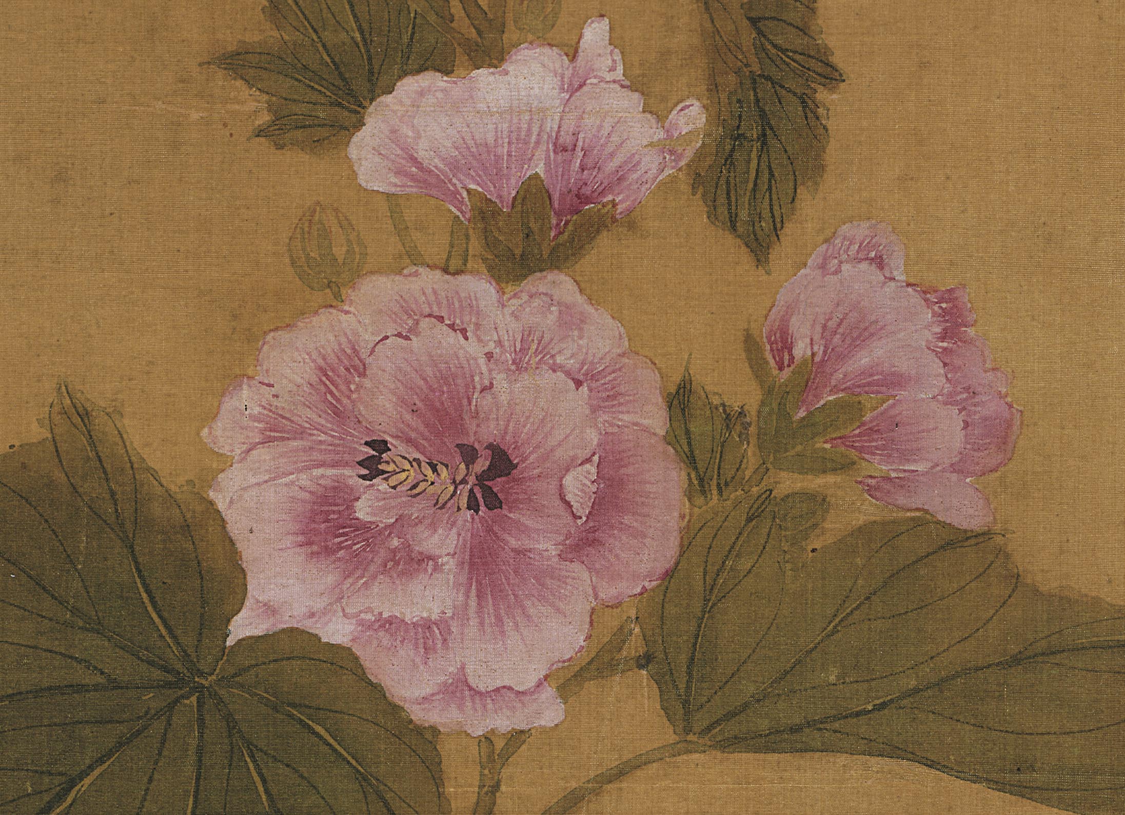 Chinese Antique Art Painting 清 蒋廷锡 蜀葵宣花图 Qing Jiang Tingxi Flower China Ancient Wall Picture Ideas 4273-Chinese Style Finds™