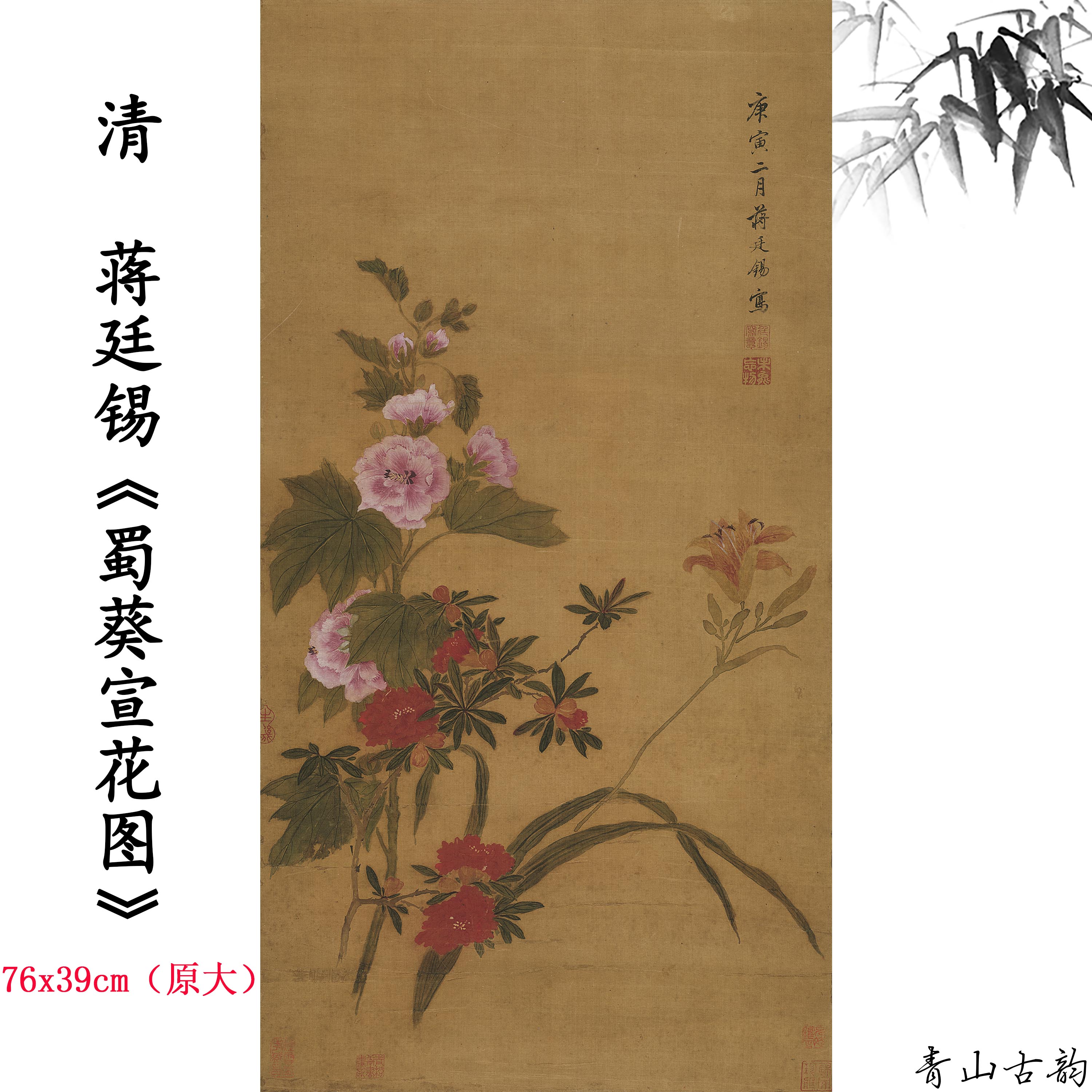 Chinese Antique Art Painting 清 蒋廷锡 蜀葵宣花图 Qing Jiang Tingxi Flower China Ancient Wall Picture Ideas 4273-Chinese Style Finds™