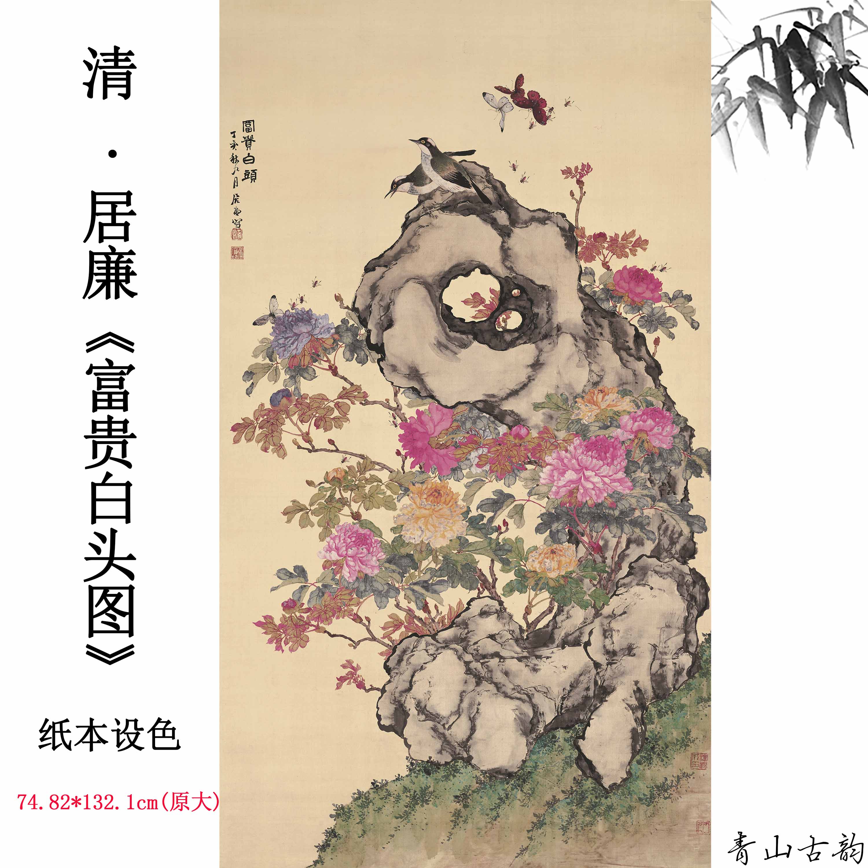 Chinese Antique Art Painting 清 居廉 富贵白头 Qing Ju Lian Fu Gui Bai Tou China Ancient Wall Picture Ideas 2543-Chinese Style Finds™