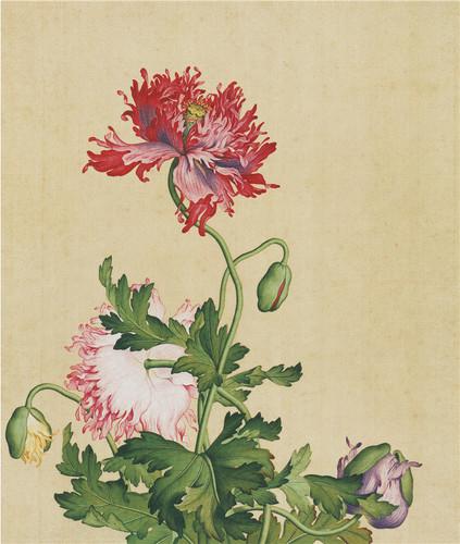 Chinese Antique Art Painting 清 郎世宁 花鸟 Qing Lang Shining Birds And Flowers China Ancient Wall Picture Ideas 2885-Chinese Style Finds™