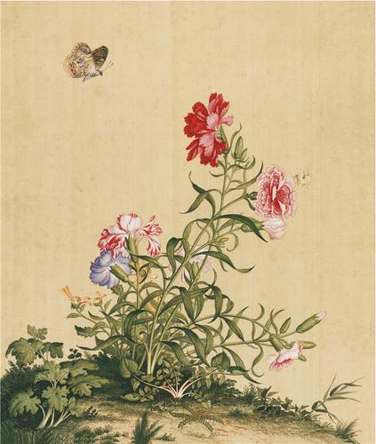 Chinese Antique Art Painting 清 郎世宁 花鸟 Qing Lang Shining Birds And Flowers China Ancient Wall Picture Ideas 2885-Chinese Style Finds™