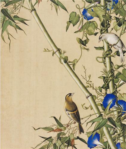 Chinese Antique Art Painting 清 郎世宁 花鸟 Qing Lang Shining Birds And Flowers China Ancient Wall Picture Ideas 2885-Chinese Style Finds™