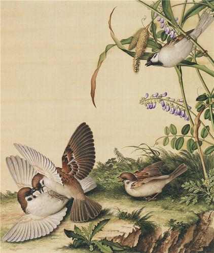 Chinese Antique Art Painting 清 郎世宁 花鸟 Qing Lang Shining Birds And Flowers China Ancient Wall Picture Ideas 2885-Chinese Style Finds™