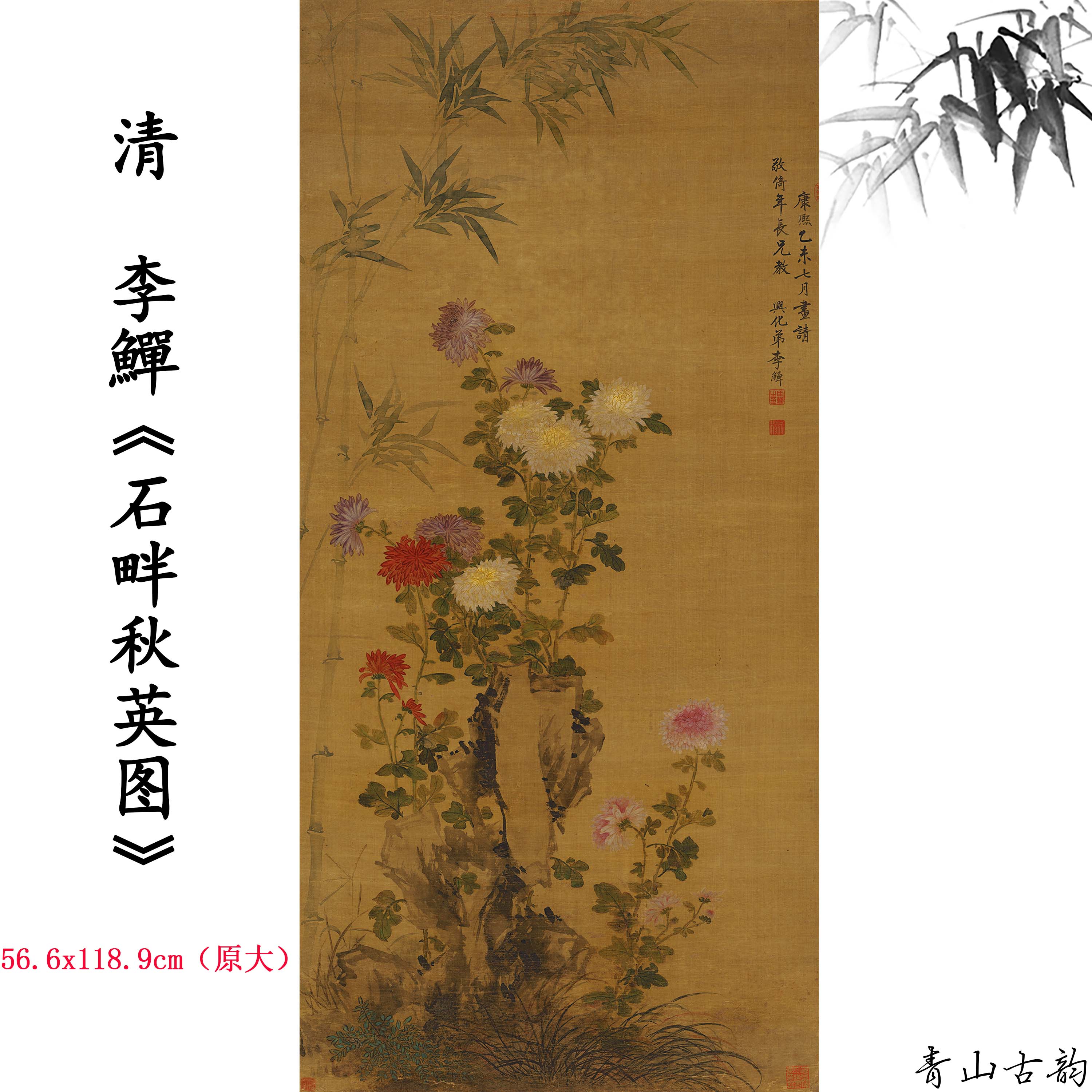 Chinese Antique Art Painting 清 李鱓 石畔秋英图 Qing Li Shan Shi Ban Qiu Ying Tu China Ancient Wall Picture Ideas 3035-Chinese Style Finds™