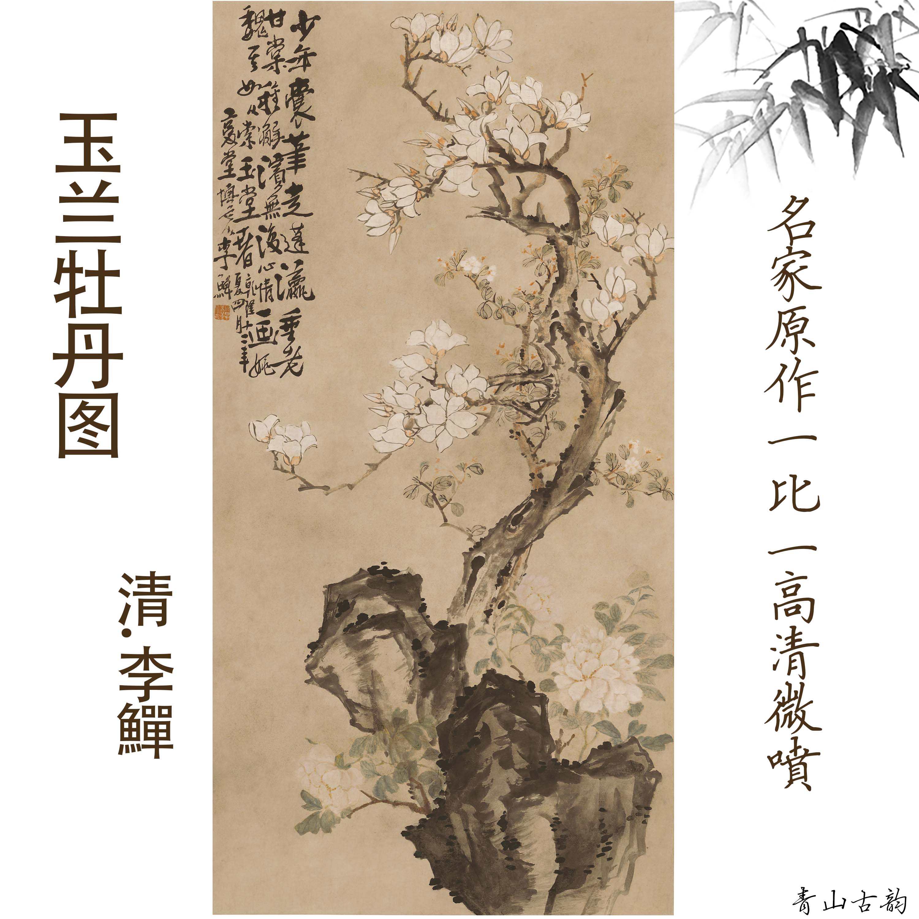 Chinese Antique Art Painting 清 李鱓 玉兰牡丹图 Qing Li Shan Yu Lan Mu Dan Orchid Peony China Ancient Wall Picture Ideas 2307-Chinese Style Finds™