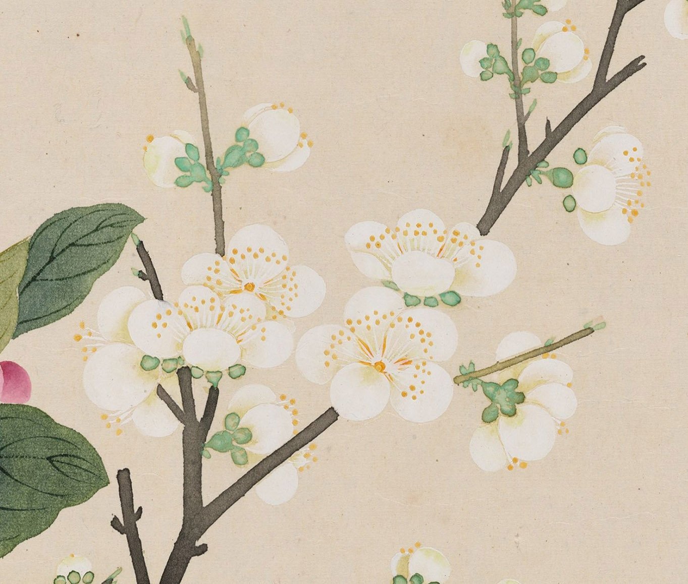 Chinese Antique Art Painting 清 钱维城 万有同春图卷 Qing Qian Weicheng Spring Flower China Ancient Wall Picture Ideas 4117-Chinese Style Finds™