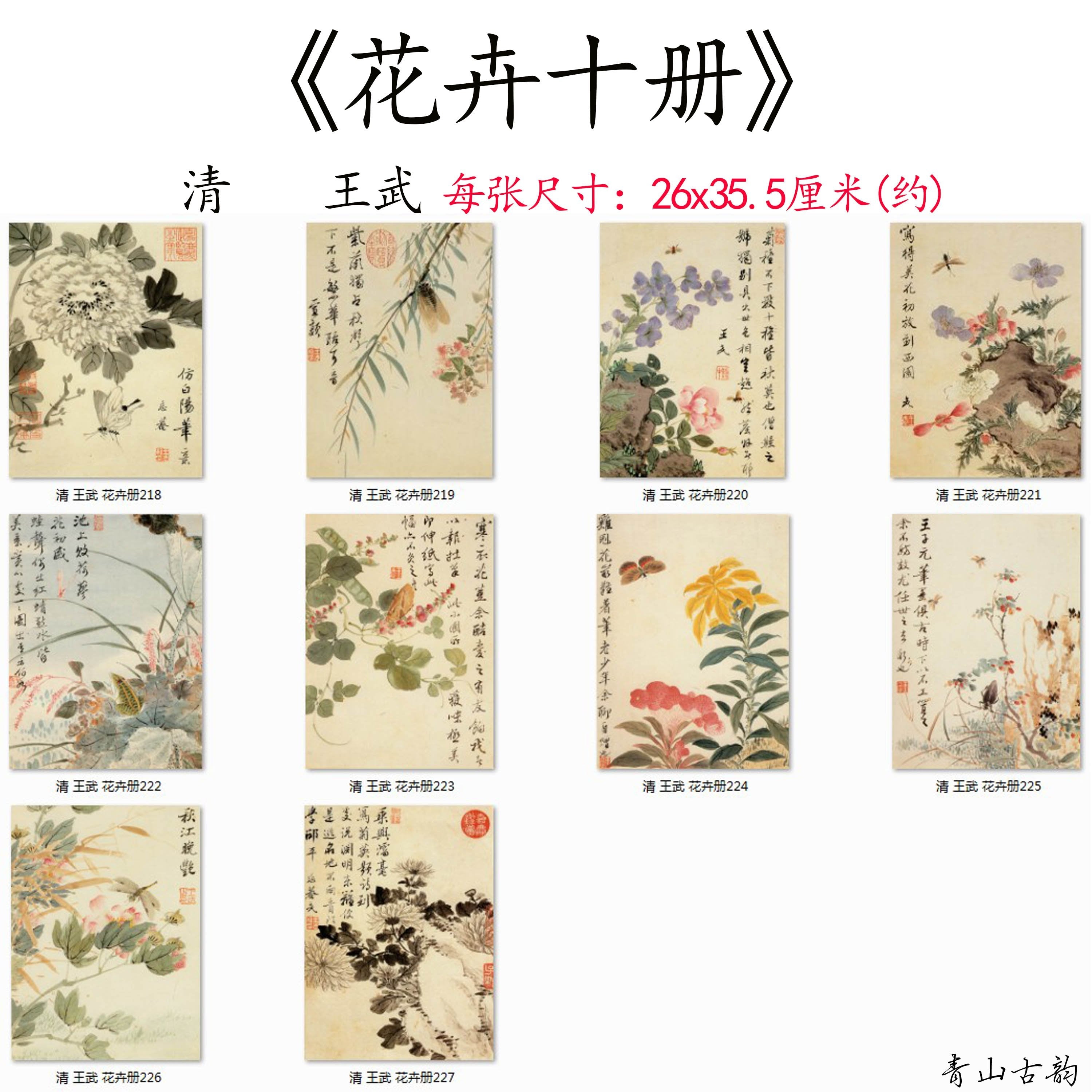 Chinese Antique Art Painting 清 王武 花卉十册 Qing Wang Wu Hua Fei Flowers China Ancient Wall Picture Ideas 2727-Chinese Style Finds™