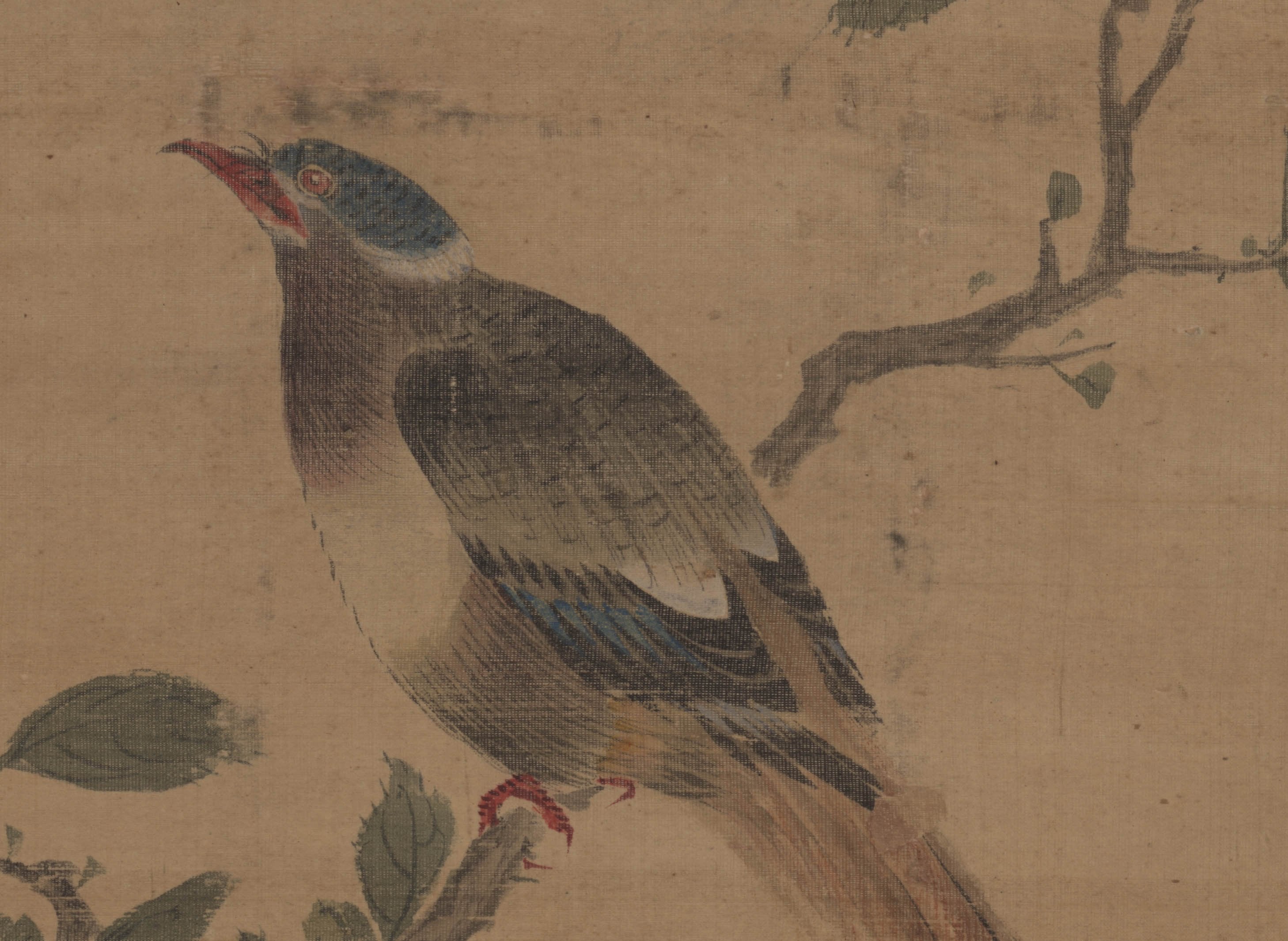 Chinese Antique Art Painting 清 文定 绣球春鸟图 Qing Wen Ding Spring Bird China Ancient Wall Picture Ideas 4339-Chinese Style Finds™