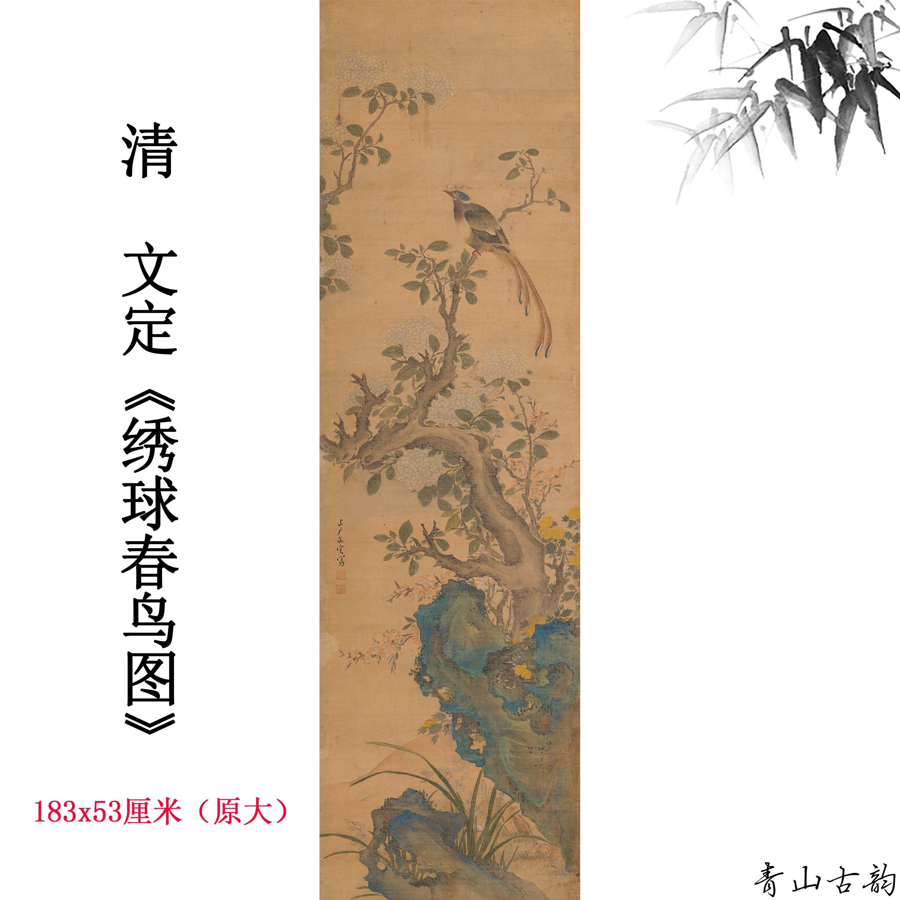 Chinese Antique Art Painting 清 文定 绣球春鸟图 Qing Wen Ding Spring Bird China Ancient Wall Picture Ideas 4339-Chinese Style Finds™