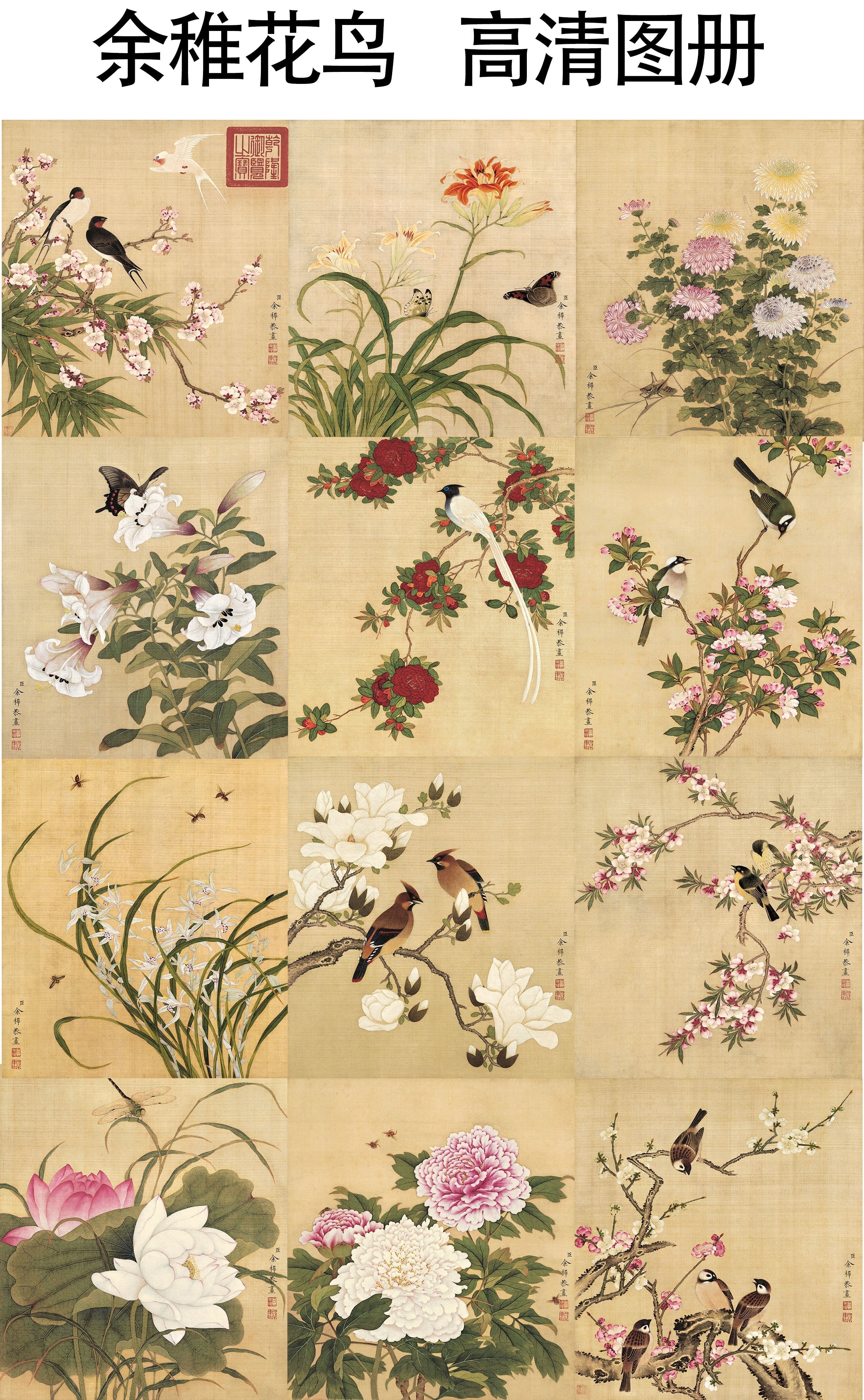 Chinese Antique Art Painting 清 余稚 花鸟 Qing Yu Zhi Flowers Birds China Ancient Wall Picture Ideas 2236-Chinese Style Finds™