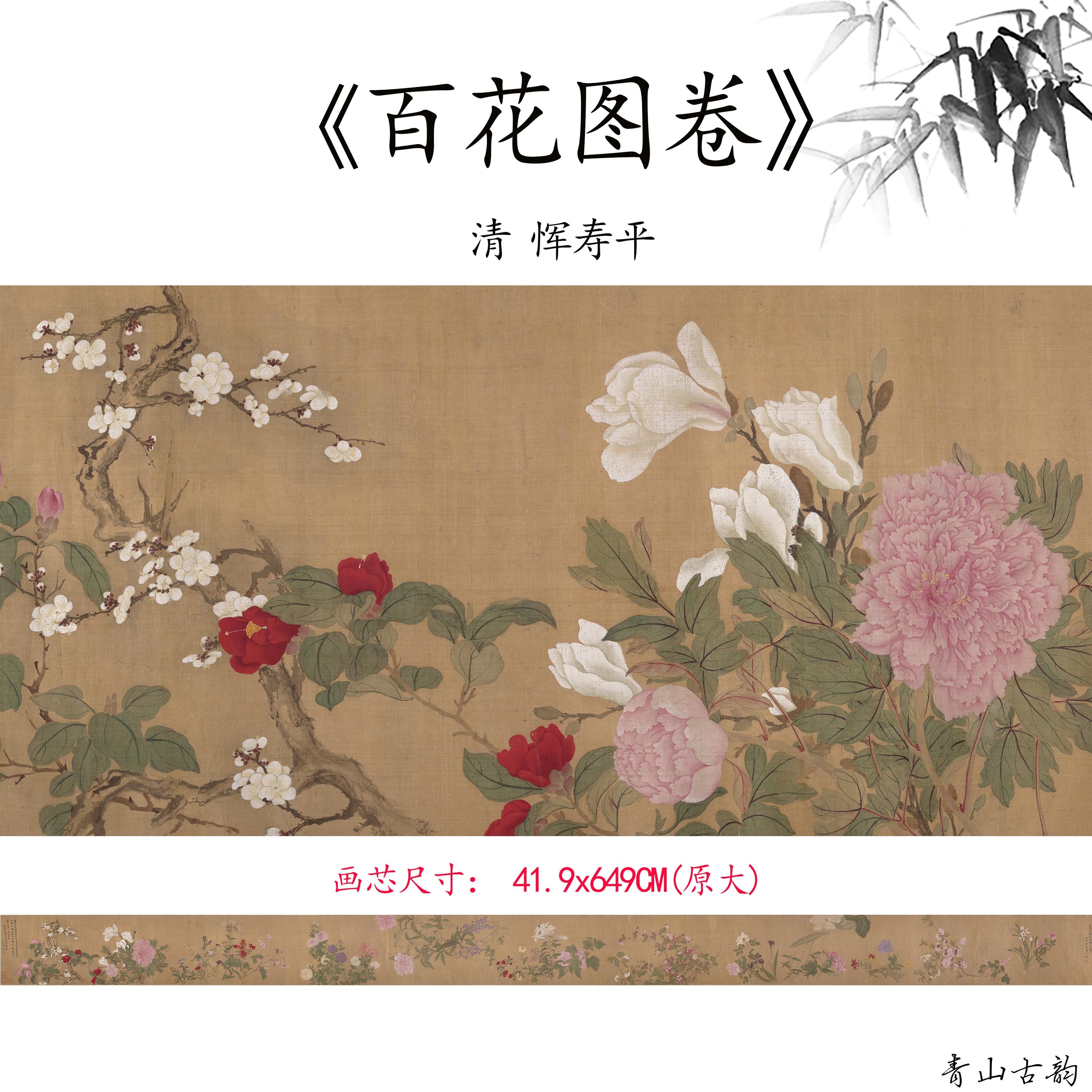 Chinese Antique Art Painting 清 恽寿平 百花图卷 Qing Yun Shouping Bai Hua Tu Flowers China Ancient Wall Picture Ideas 2989-Chinese Style Finds™