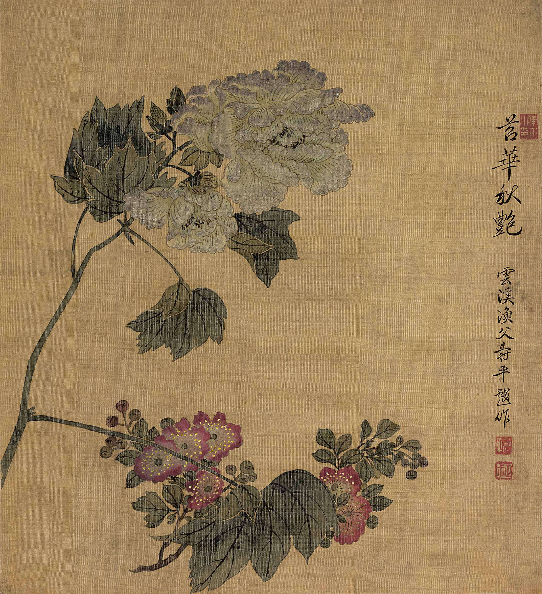 Chinese Antique Art Painting 清 恽寿平 花卉十开 Qing Yun Shouping 10 Flowers China Ancient Wall Picture Ideas 2541-Chinese Style Finds™