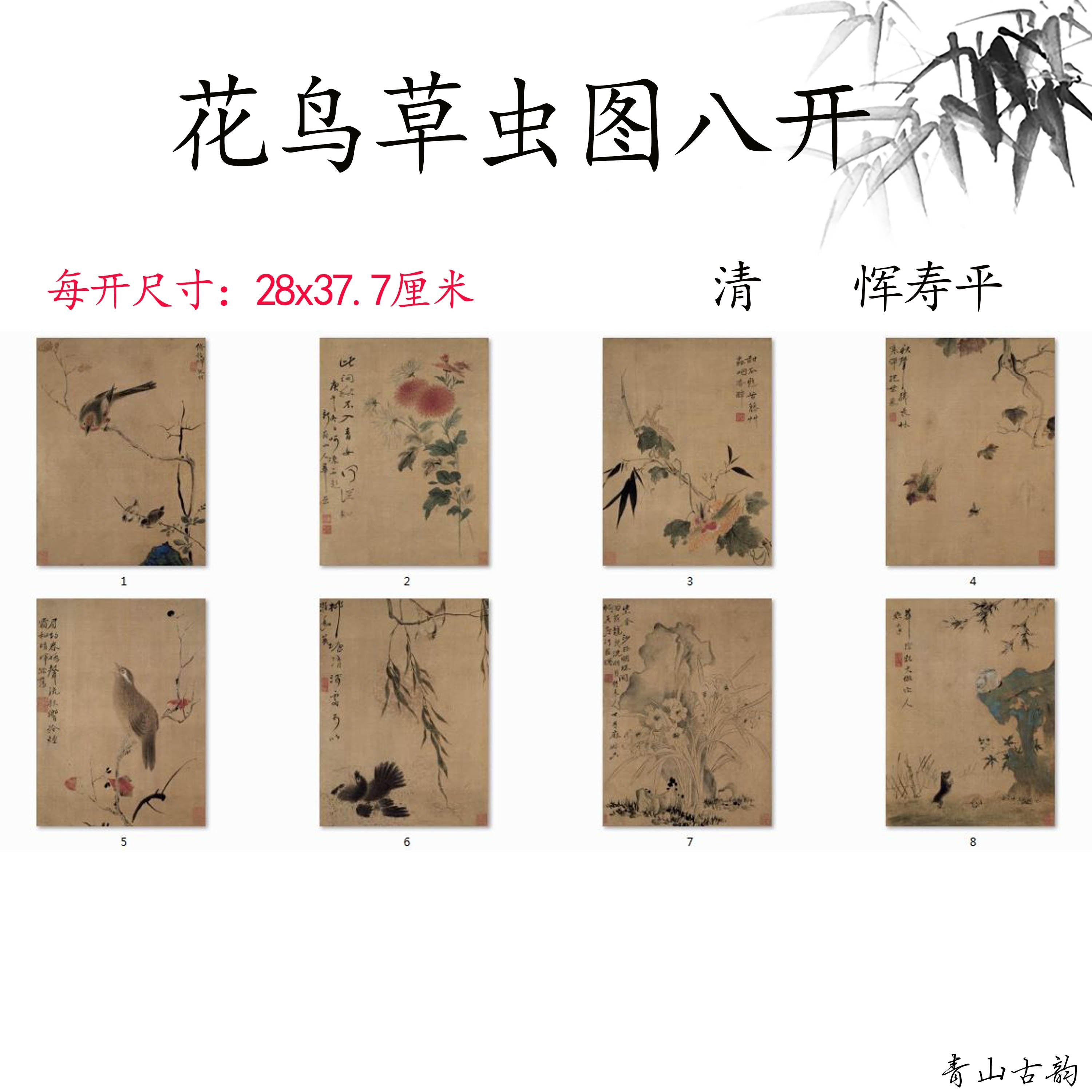 Chinese Antique Art Painting 清 恽寿平 花鸟草虫图八开 Qing Yun Shouping Flower Bird Grass China Ancient Wall Picture Ideas 2777-Chinese Style Finds™