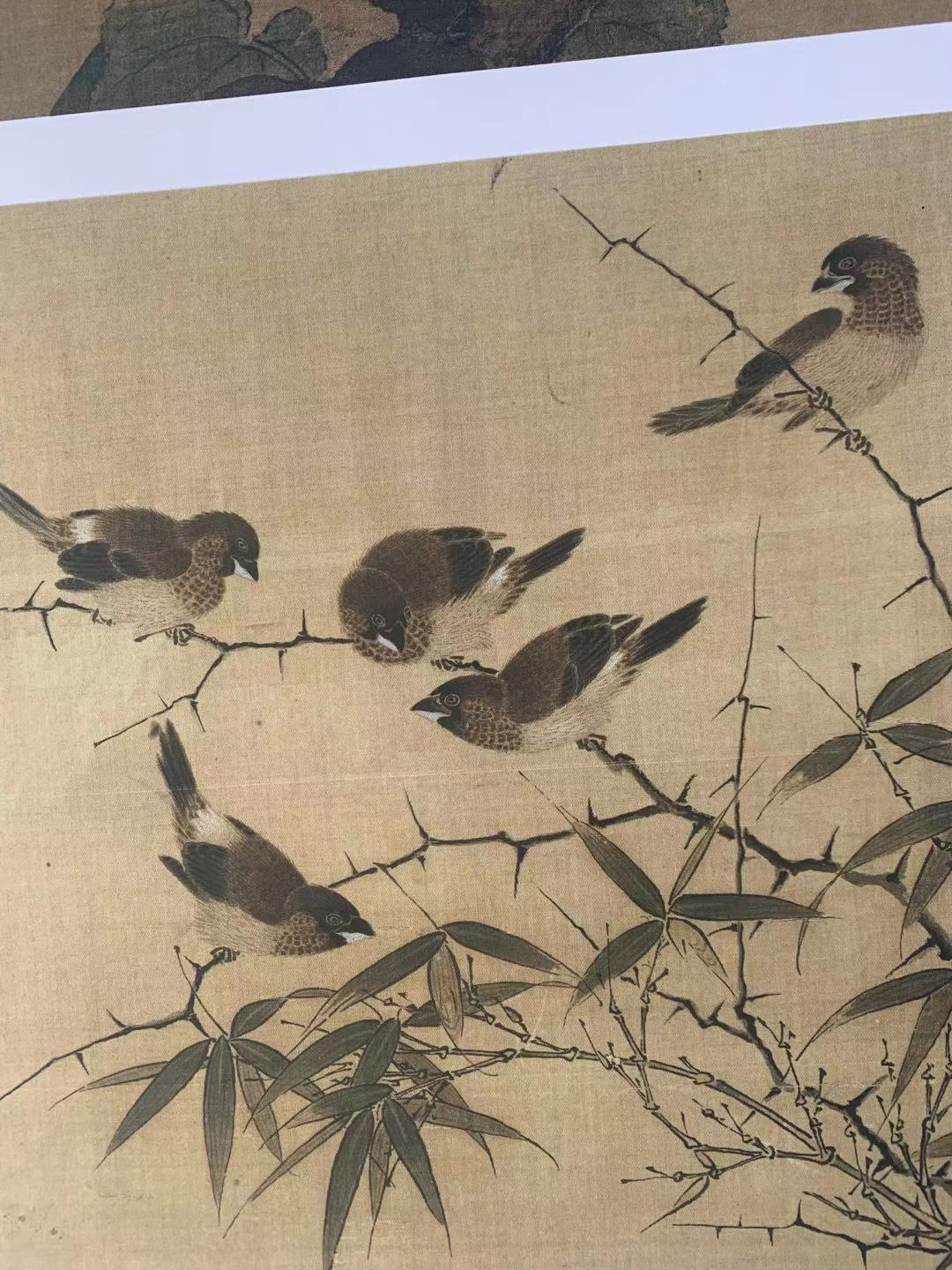 Chinese Antique Art Painting 宋画小品花鸟图册十四幅合集斗方28.5x28.5cm Song Birds Flowers China Ancient Wall Picture Ideas 4173-Chinese Style Finds™