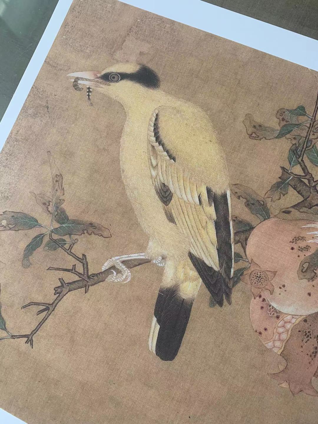 Chinese Antique Art Painting 宋画小品花鸟图册十四幅合集斗方28.5x28.5cm Song Birds Flowers China Ancient Wall Picture Ideas 4173-Chinese Style Finds™