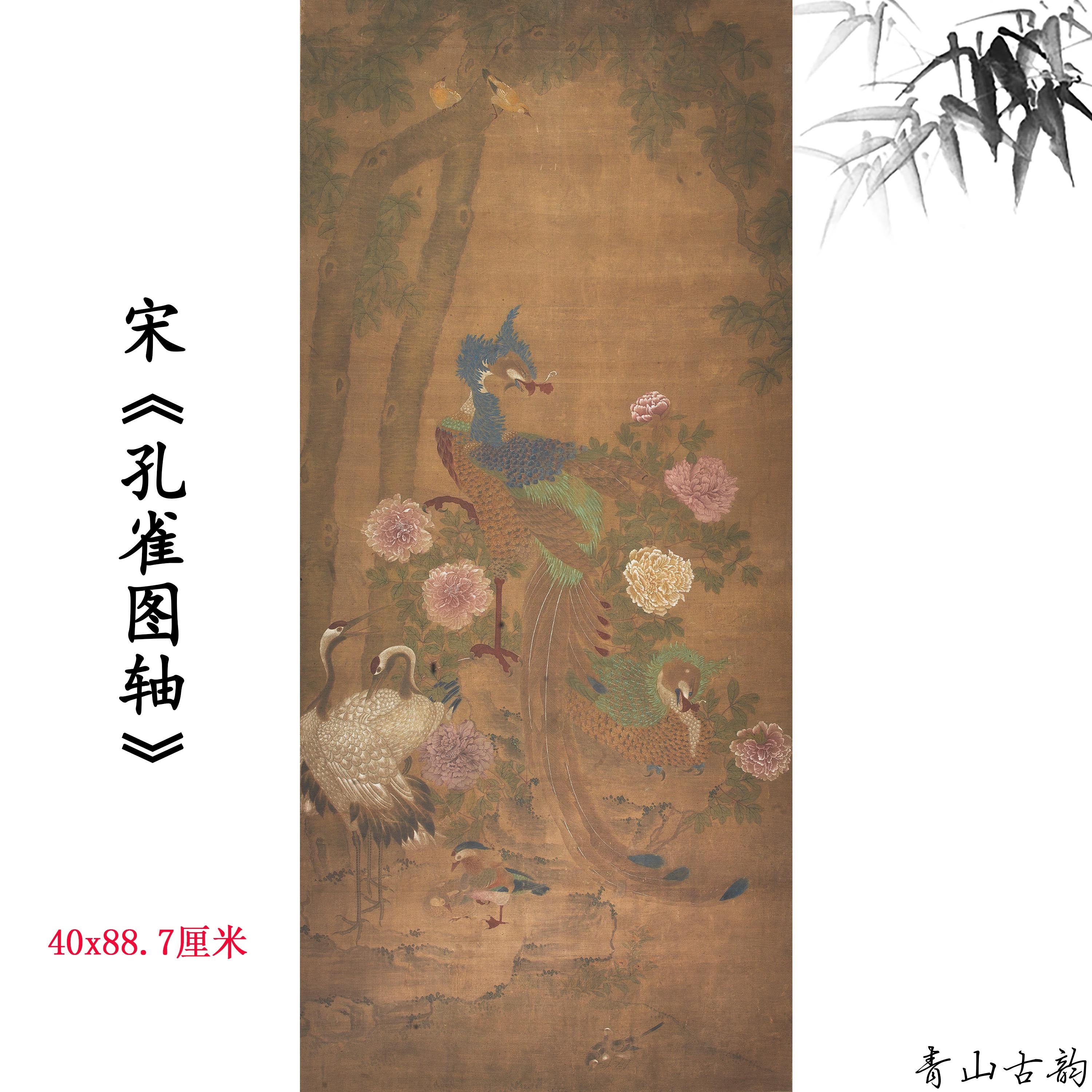 Chinese Antique Art Painting 宋 孔雀图 Song Peacock China Ancient Wall Picture Ideas 4551-Chinese Style Finds™