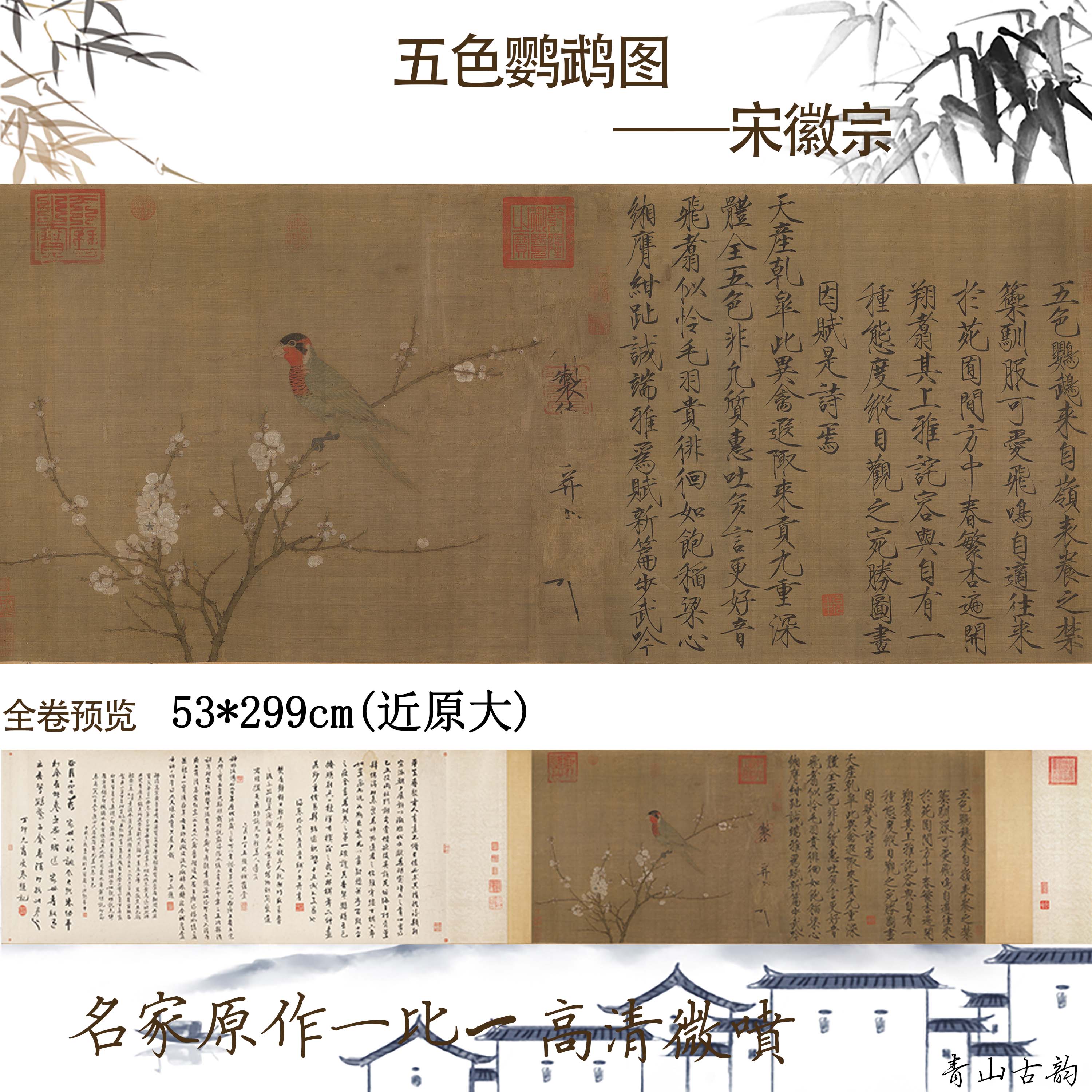 Chinese Antique Art Painting 宋赵佶 五色鹦鹉图 Song Zhao Ji Wu Se Ying Wu Tu China Ancient Wall Picture Ideas 1246-Chinese Style Finds™