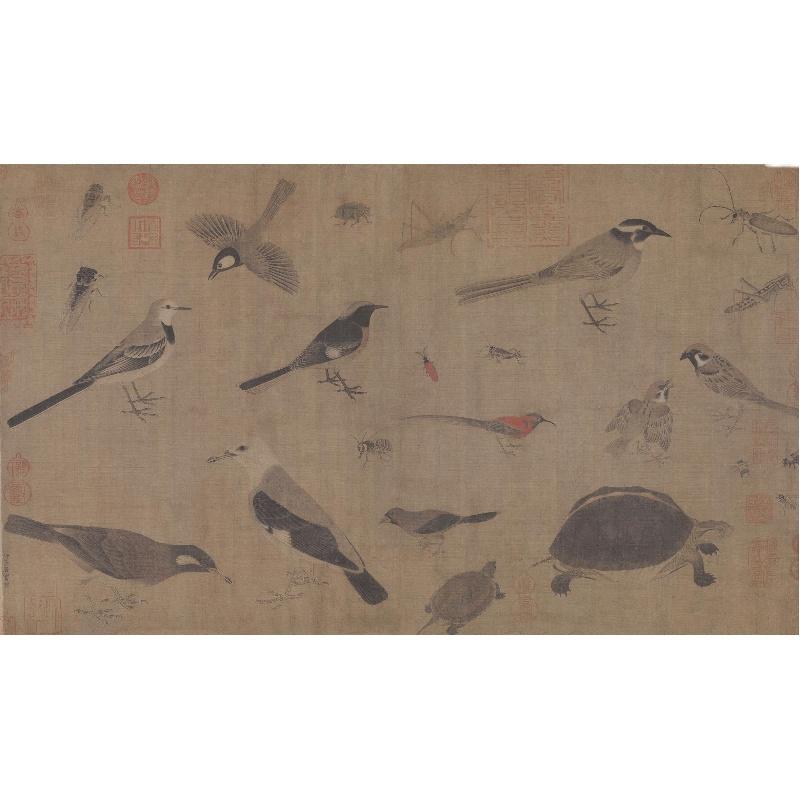 Chinese Antique Art Painting 五代黄筌 写生珍禽图 Wu Dai Huang Quan Xie Sheng Zhen Qin Tu China Ancient Wall Picture Ideas 1240-Chinese Style Finds™