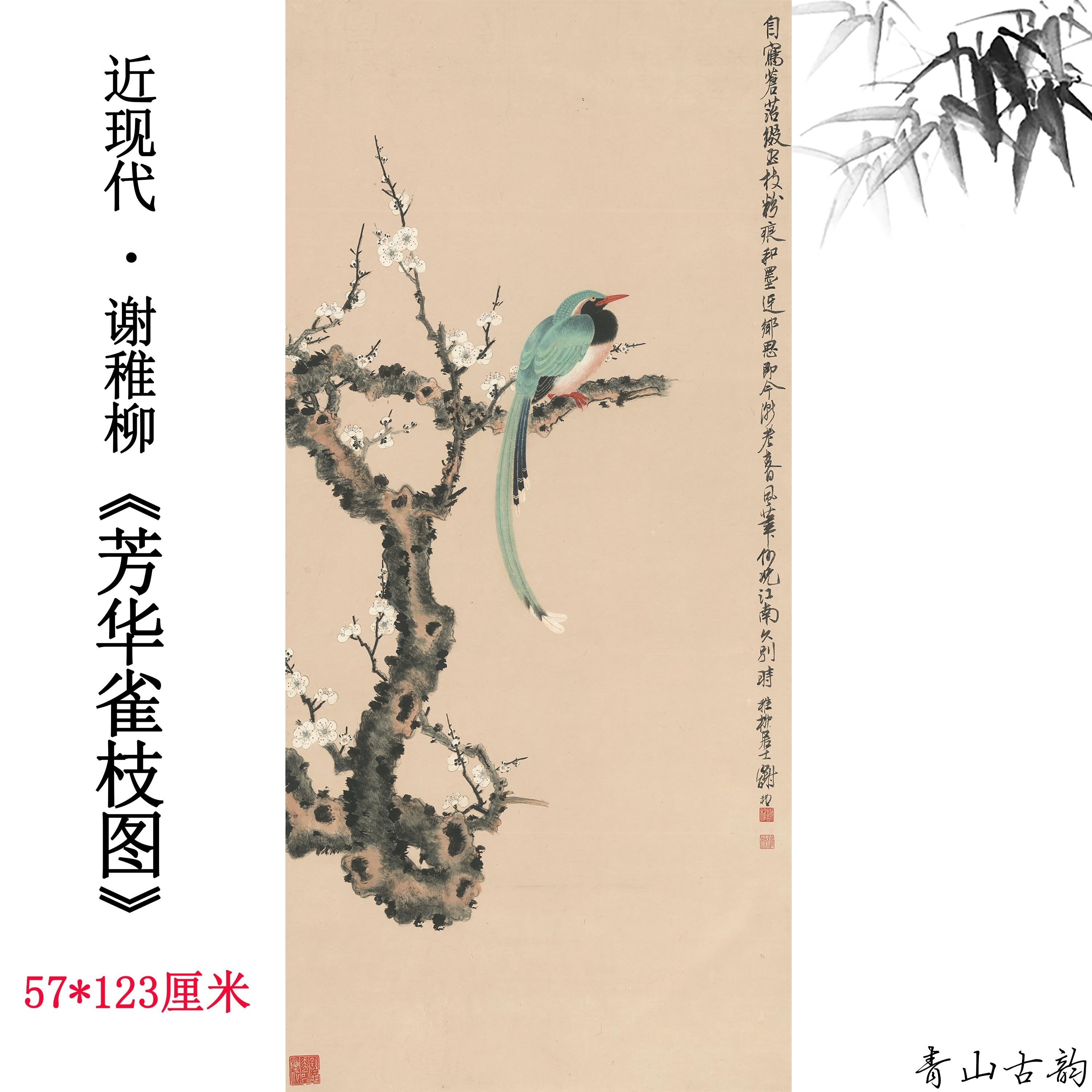 Chinese Antique Art Painting 谢稚柳 芳华雀枝图 Tree Bird China Ancient Wall Picture Ideas 3663-Chinese Style Finds™