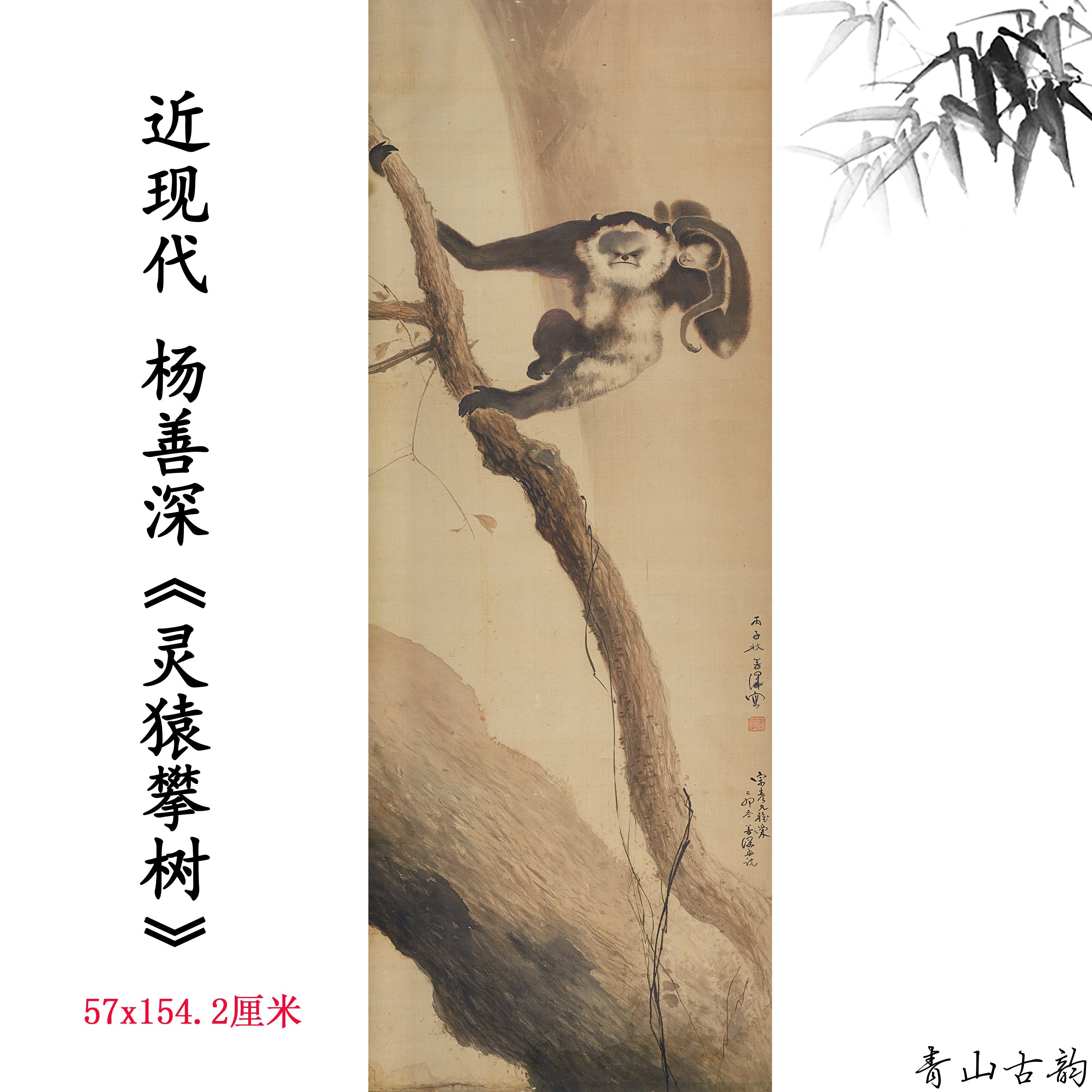 Chinese Antique Art Painting 杨善深 灵猿攀树图 Yang Shanshen Monkey Climb Tree China Ancient Wall Picture Ideas 4545-Chinese Style Finds™