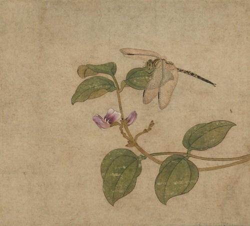 Chinese Antique Art Painting 元 王渊 蜻蜓图莲鹡鸰图 Yuan Wang Yuan Qing Ting Tu Lian Ji Ling Tu China Ancient Wall Picture Ideas 1742-Chinese Style Finds™