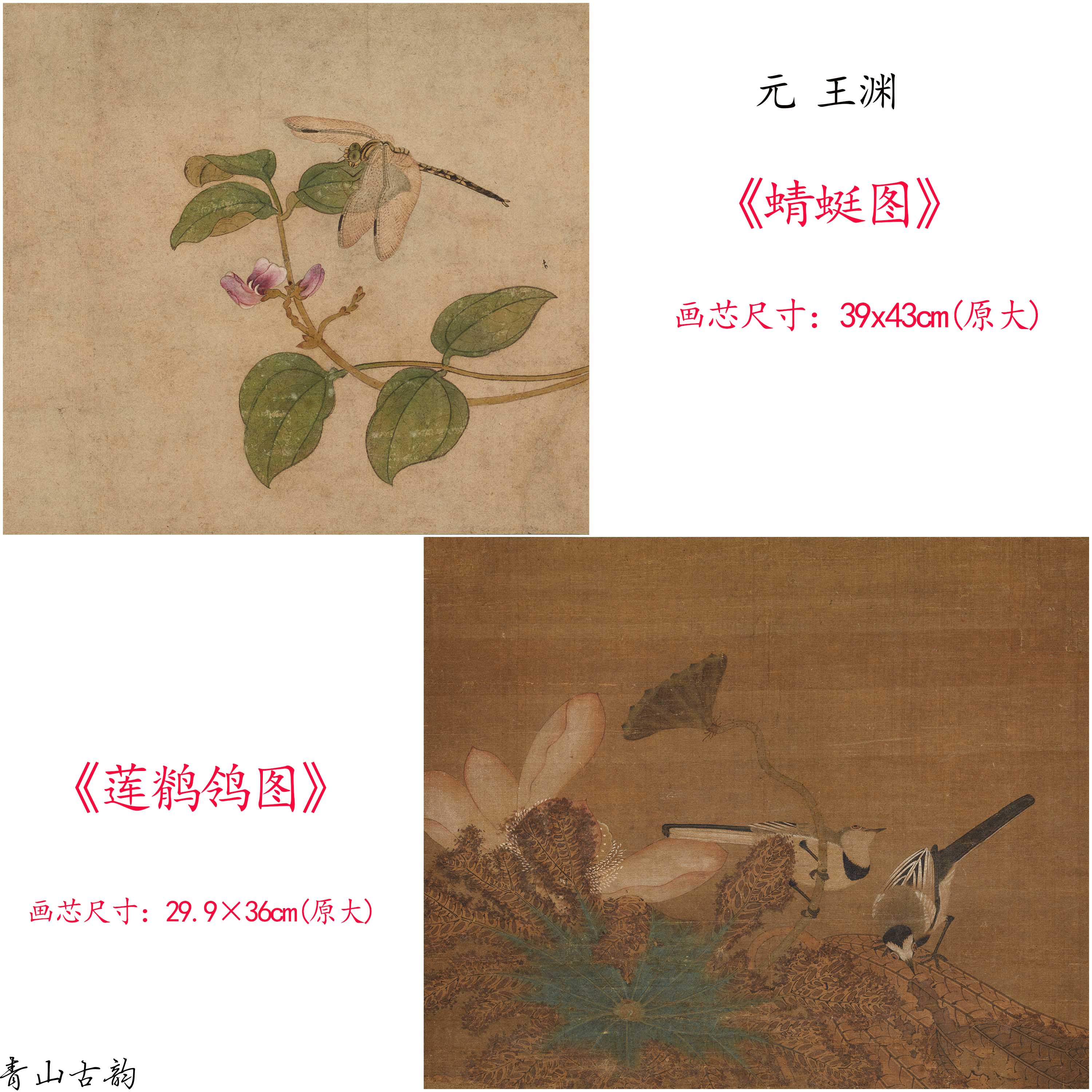 Chinese Antique Art Painting 元 王渊 蜻蜓图莲鹡鸰图 Yuan Wang Yuan Qing Ting Tu Lian Ji Ling Tu China Ancient Wall Picture Ideas 1742-Chinese Style Finds™