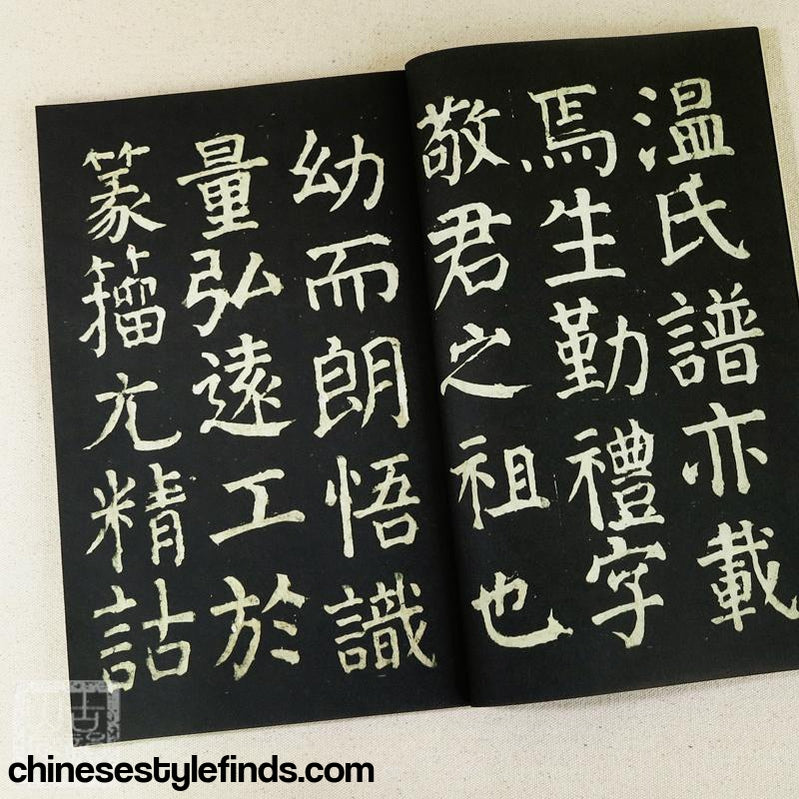 Handmade Antique Chinese Calligraphy Arts Copybook 颜真卿庙碑残阙 唐颜真卿法帖 宣纸线装复古本-Chinese Style Finds™